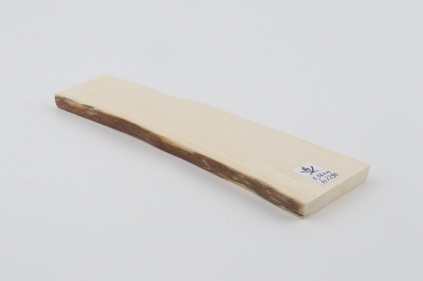 White mammoth ivory segment