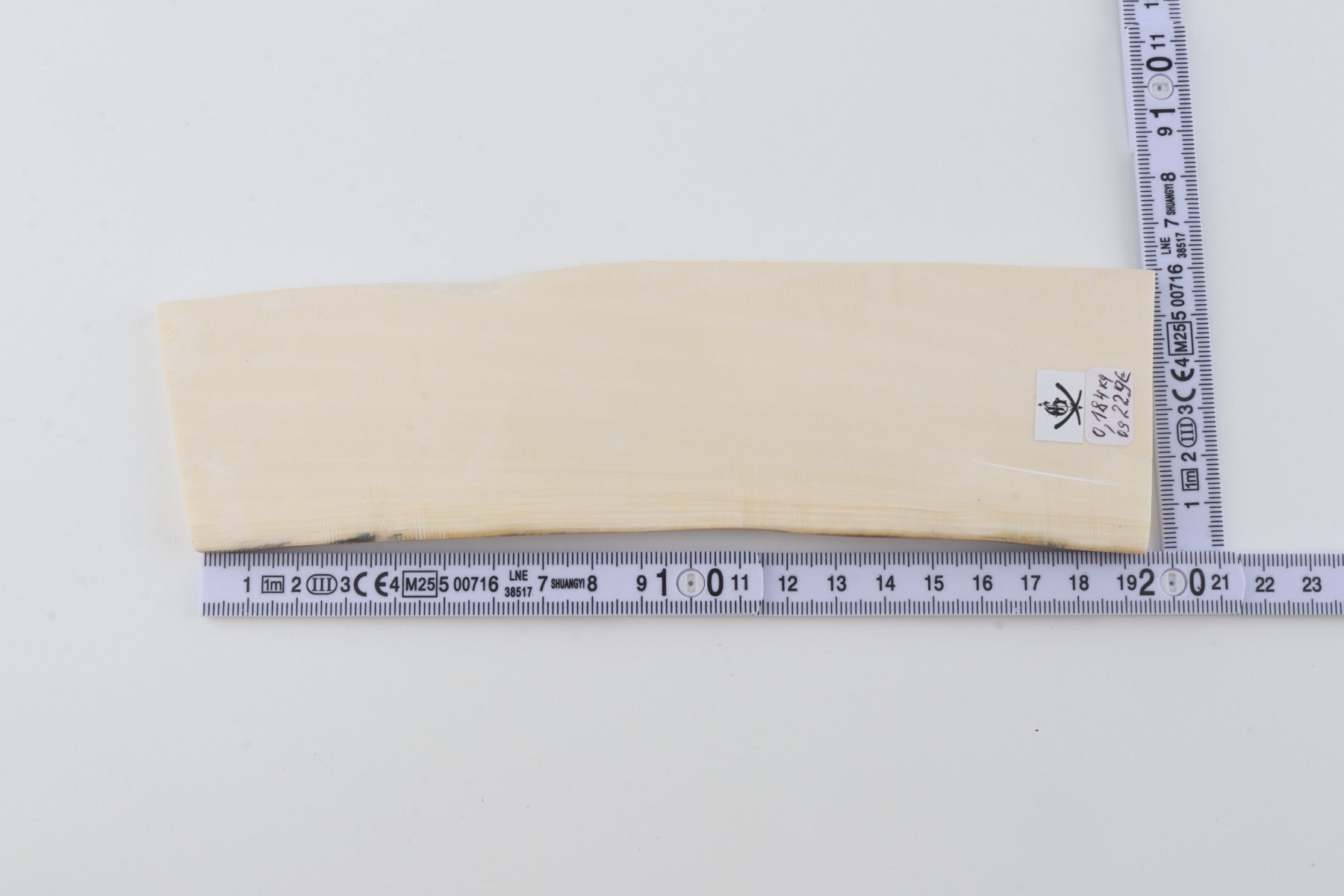 White mammoth ivory segment