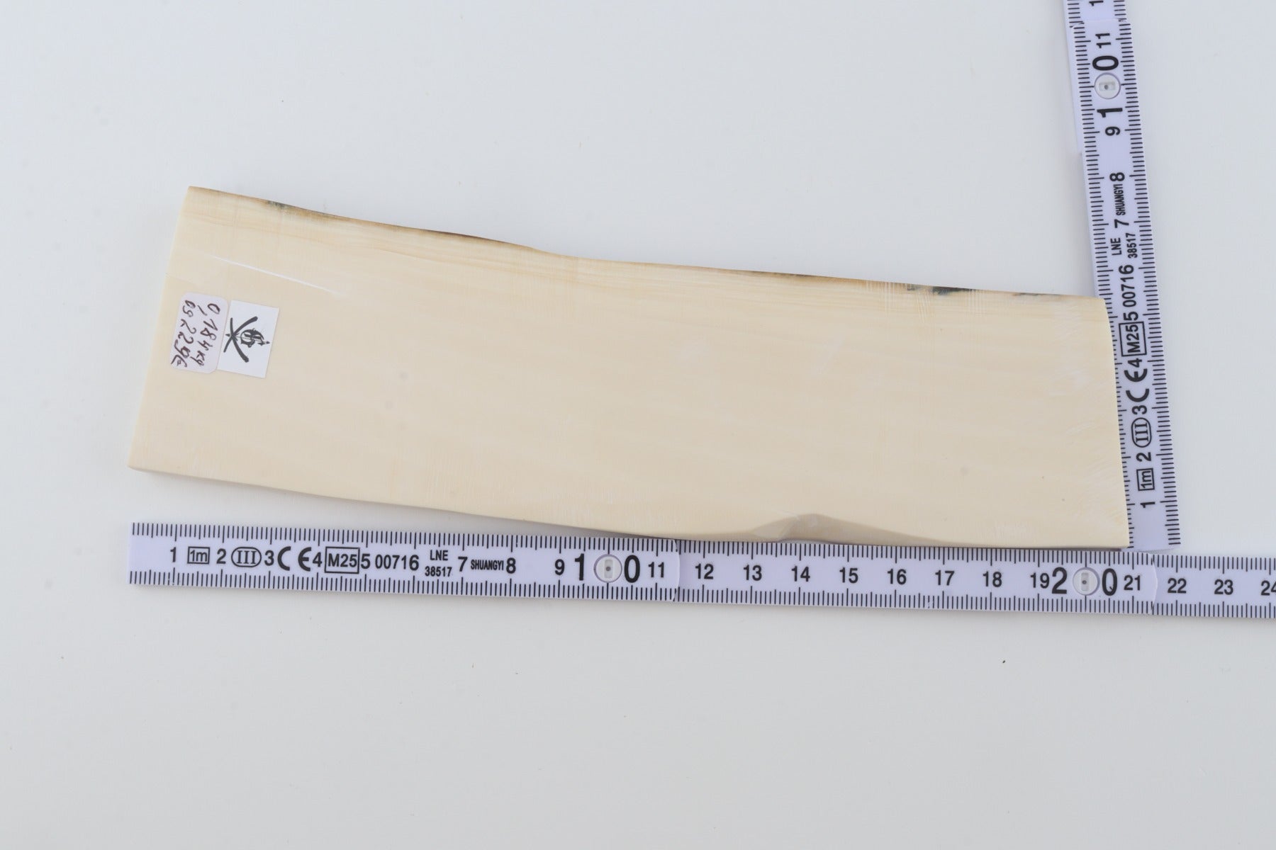 White mammoth ivory segment