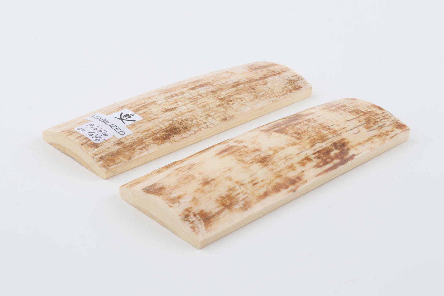 Stabilized mammoth bark scales