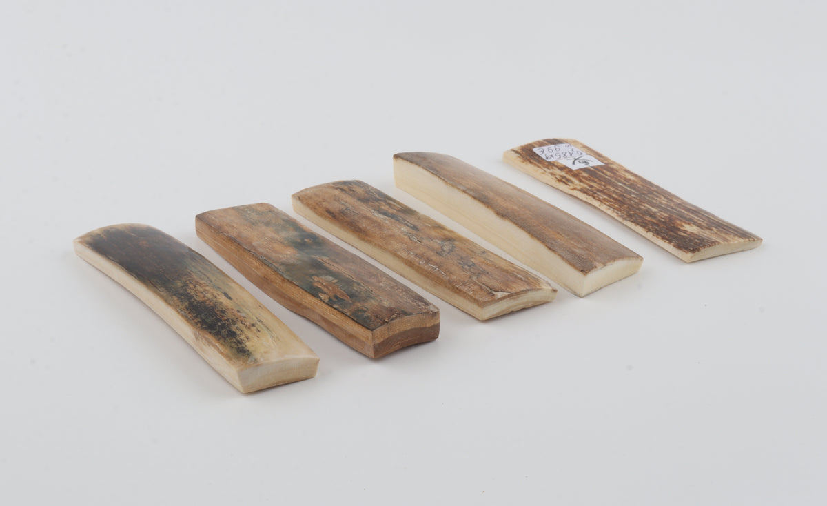 Natural mammoth bark pieces