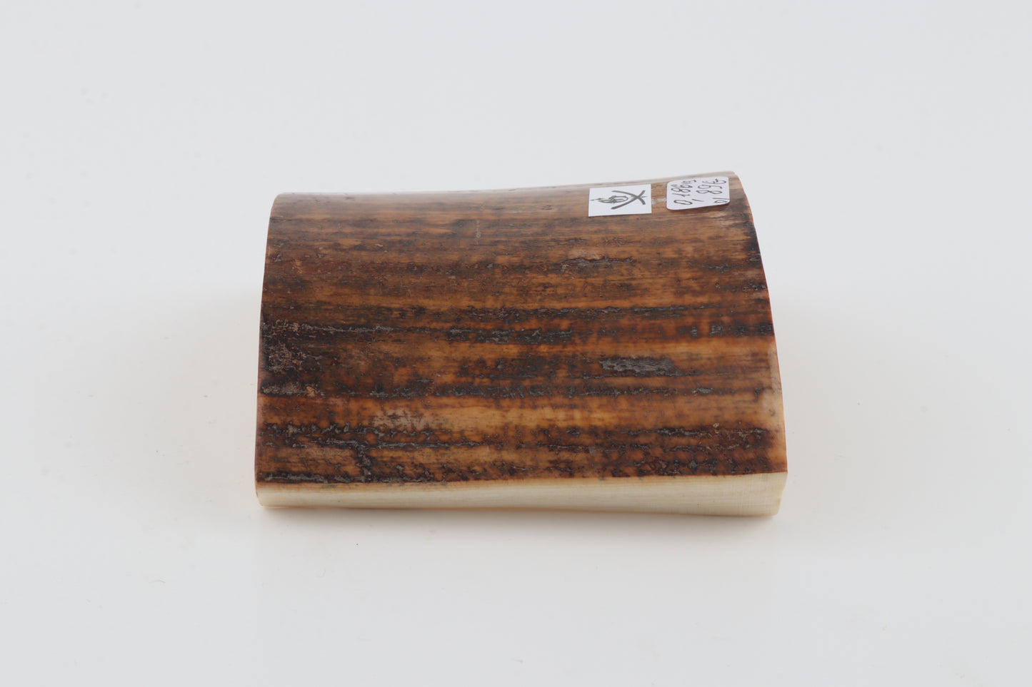 Beige-brown mammoth bark