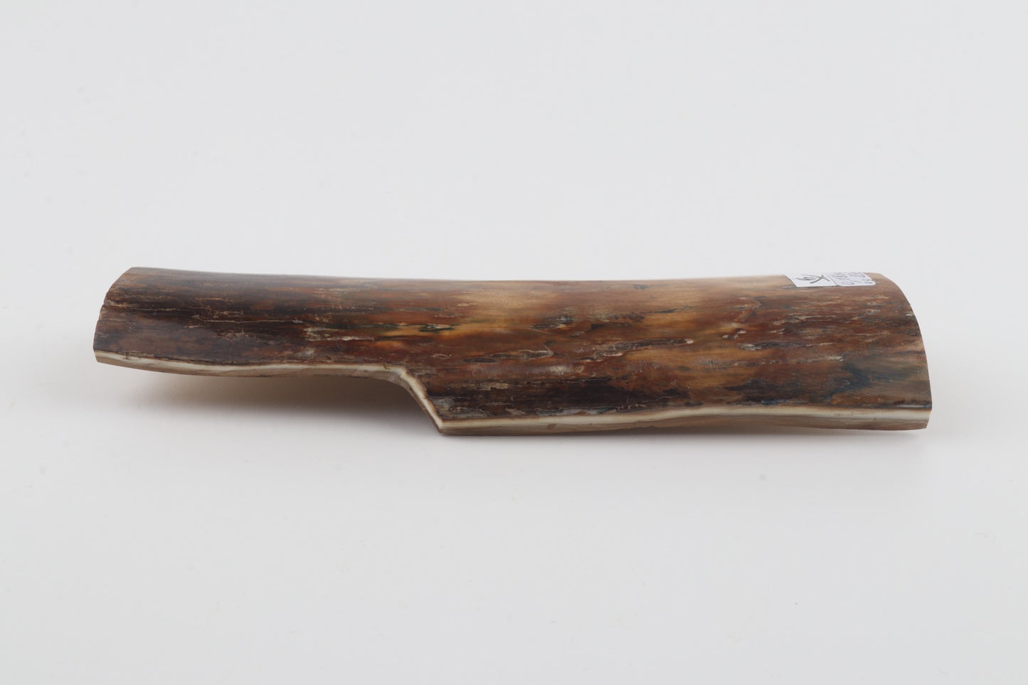 Brown-beige mammoth bark