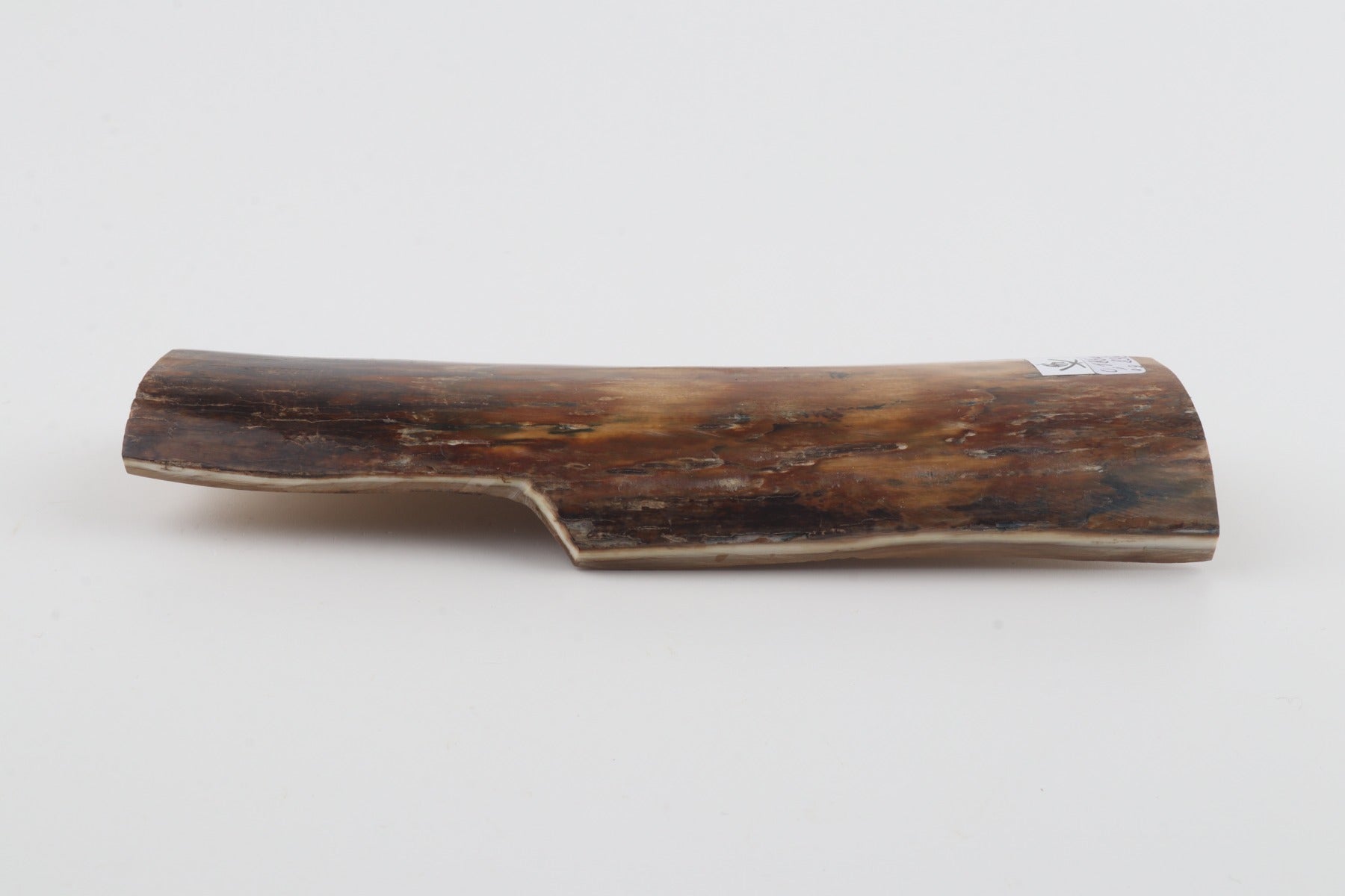 Brown-beige mammoth bark