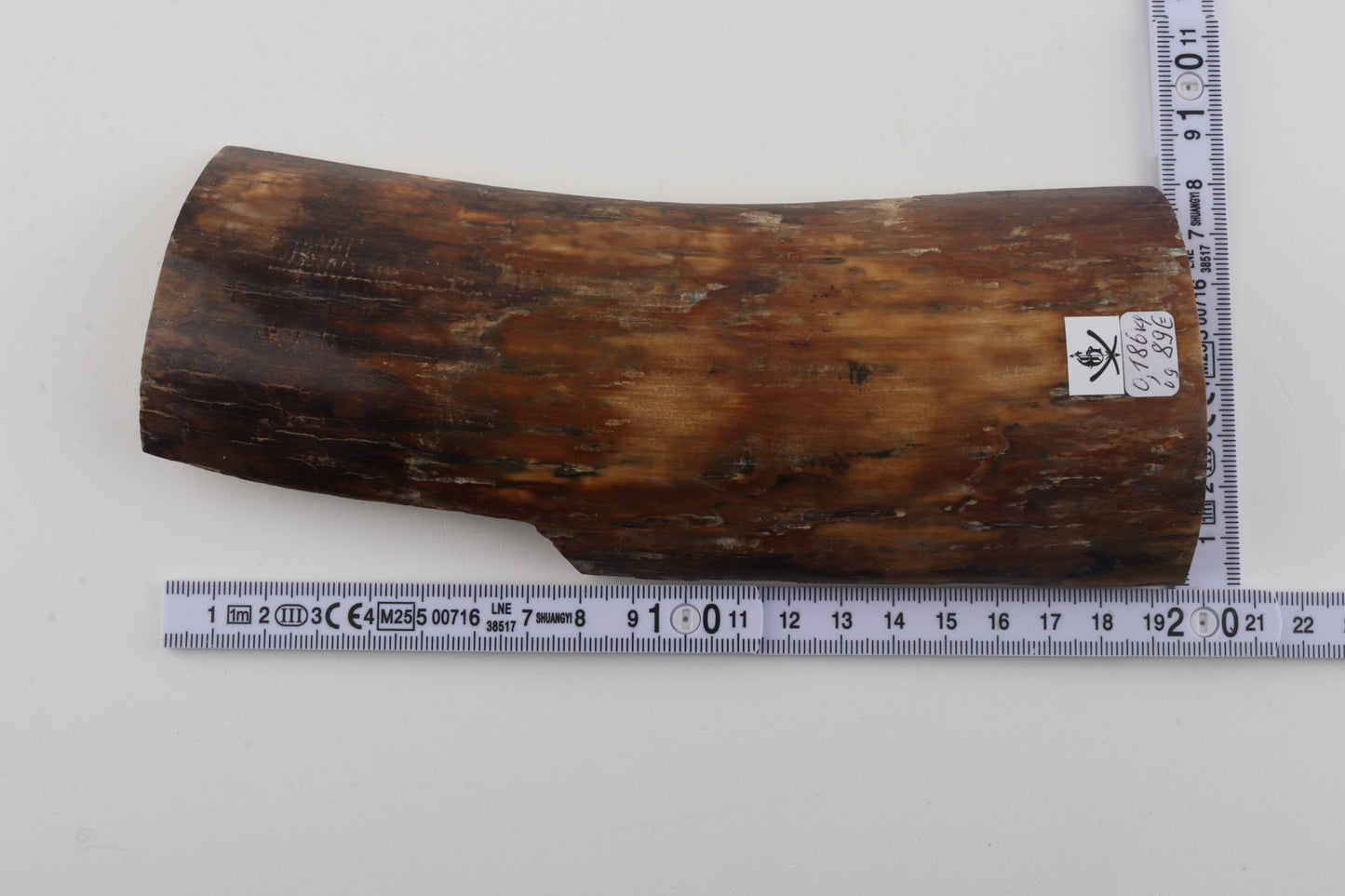 Brown-beige mammoth bark