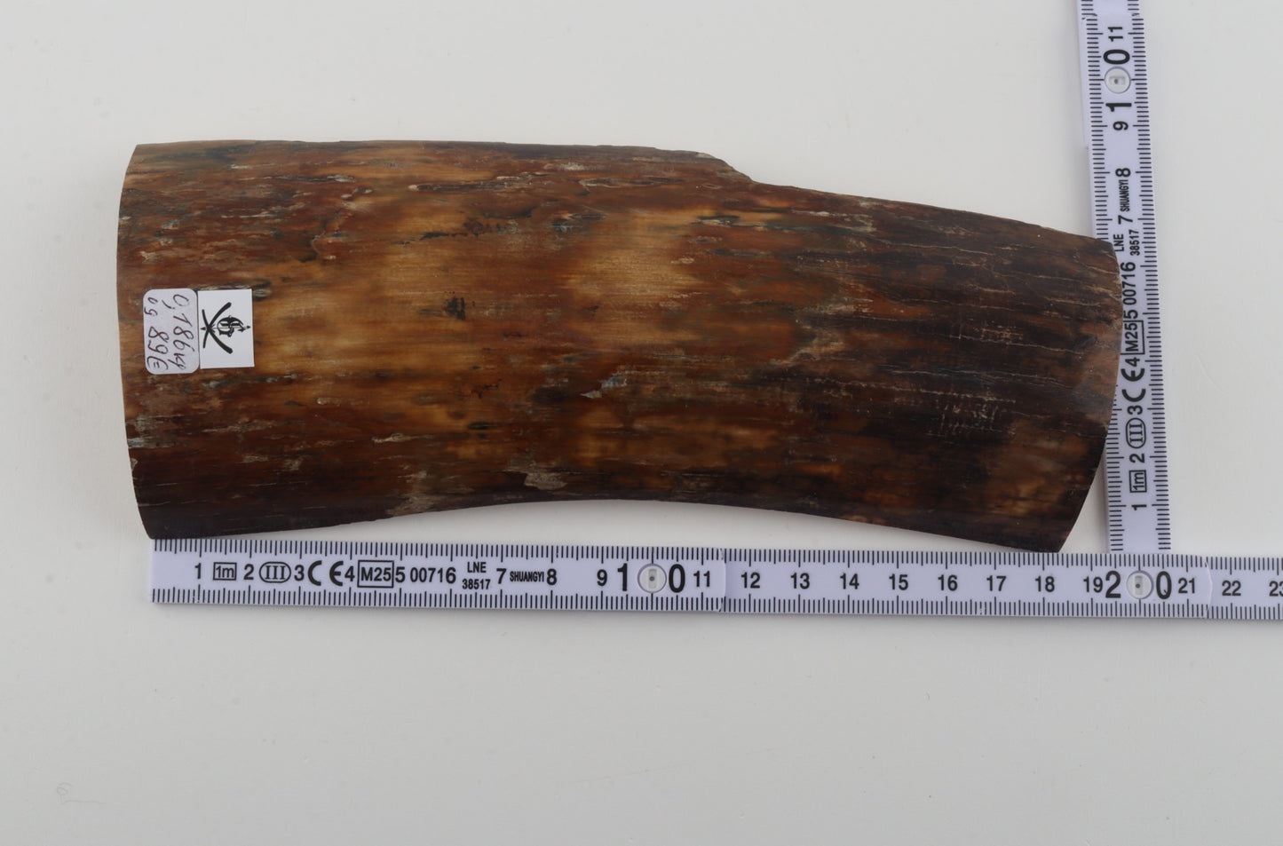Brown-beige mammoth bark