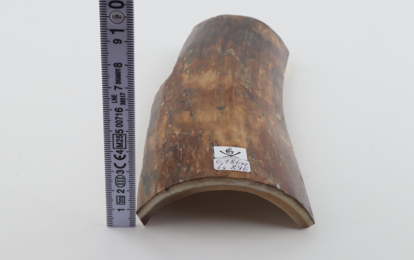 Brown-beige mammoth bark