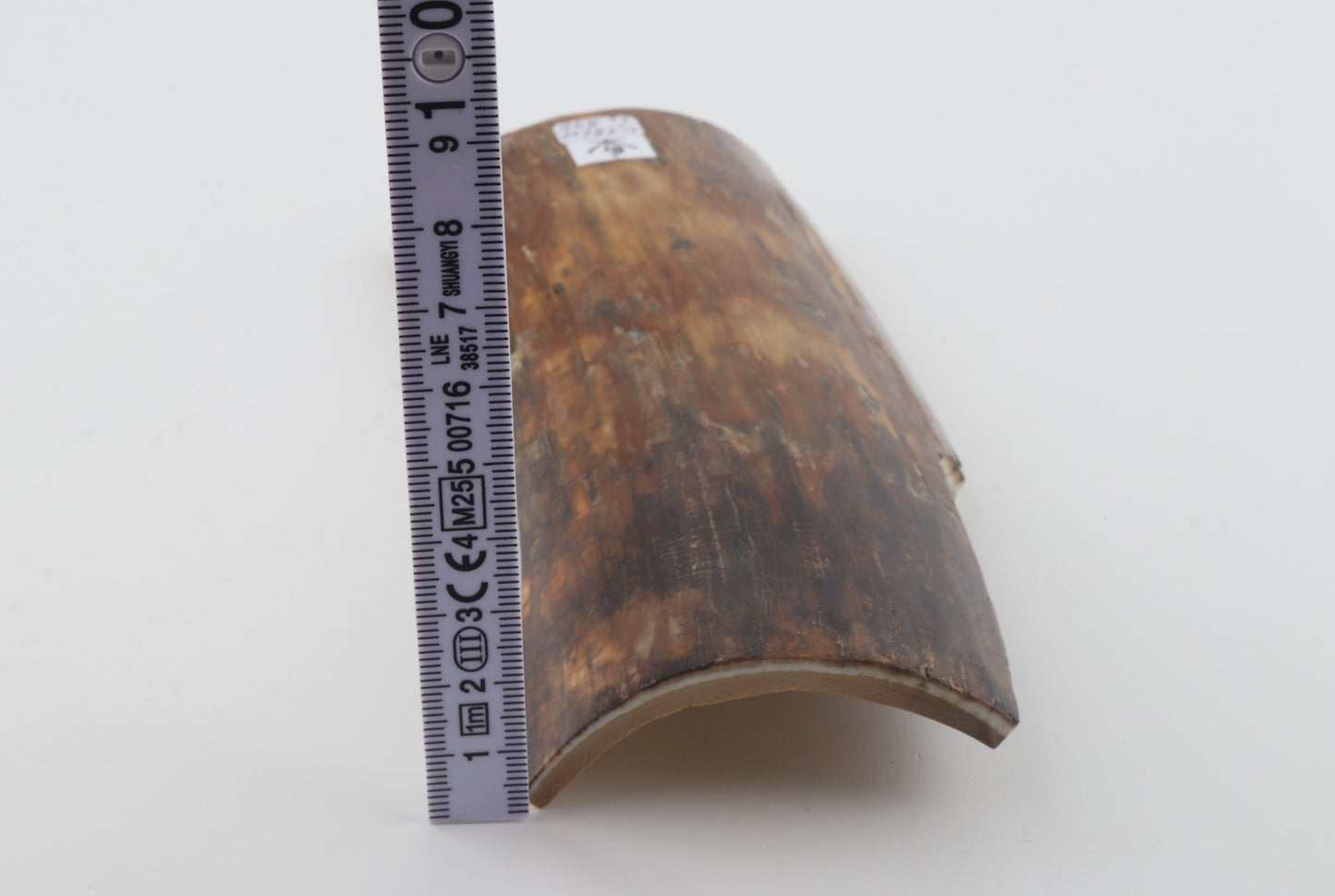 Brown-beige mammoth bark