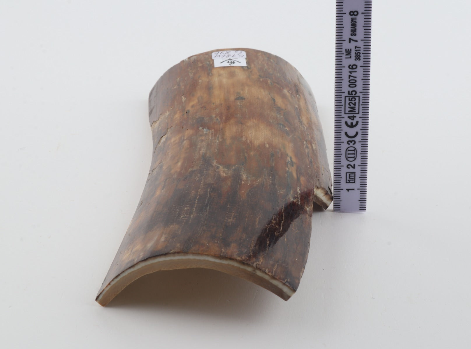 Brown-beige mammoth bark