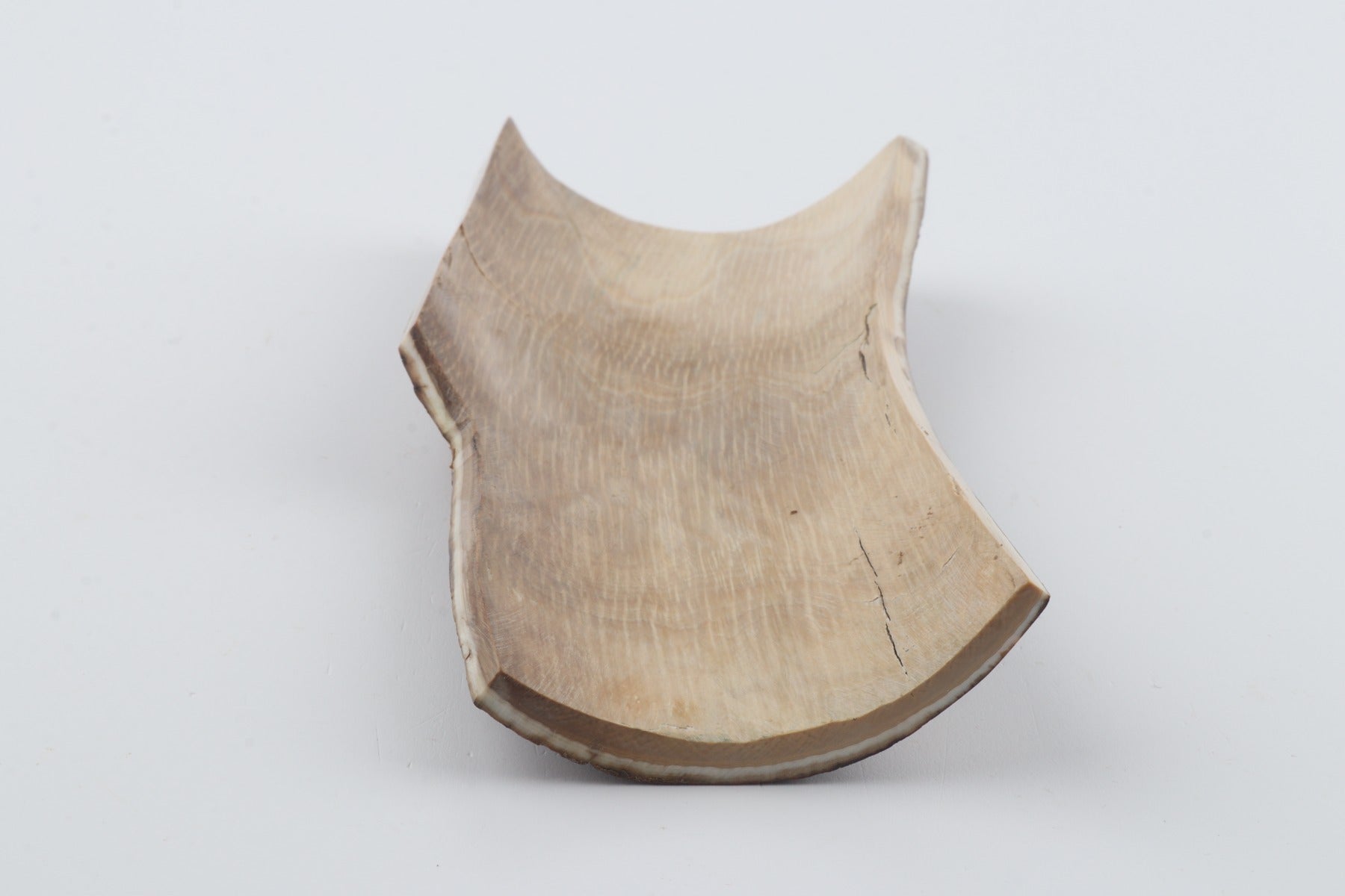 Brown-beige mammoth bark