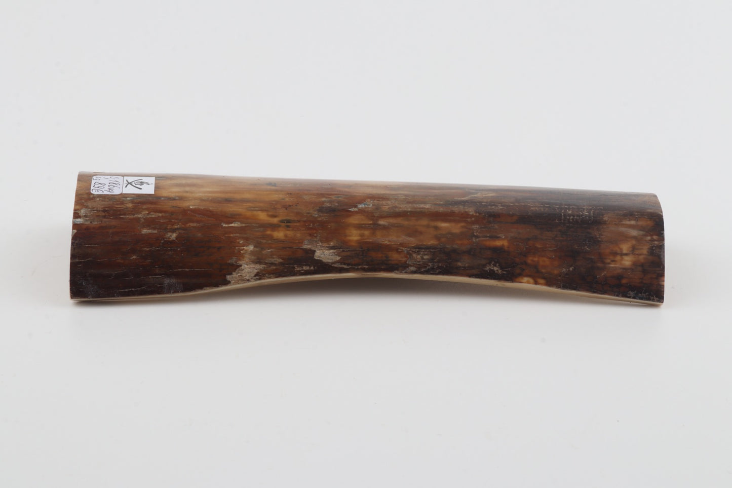 Brown-beige mammoth bark
