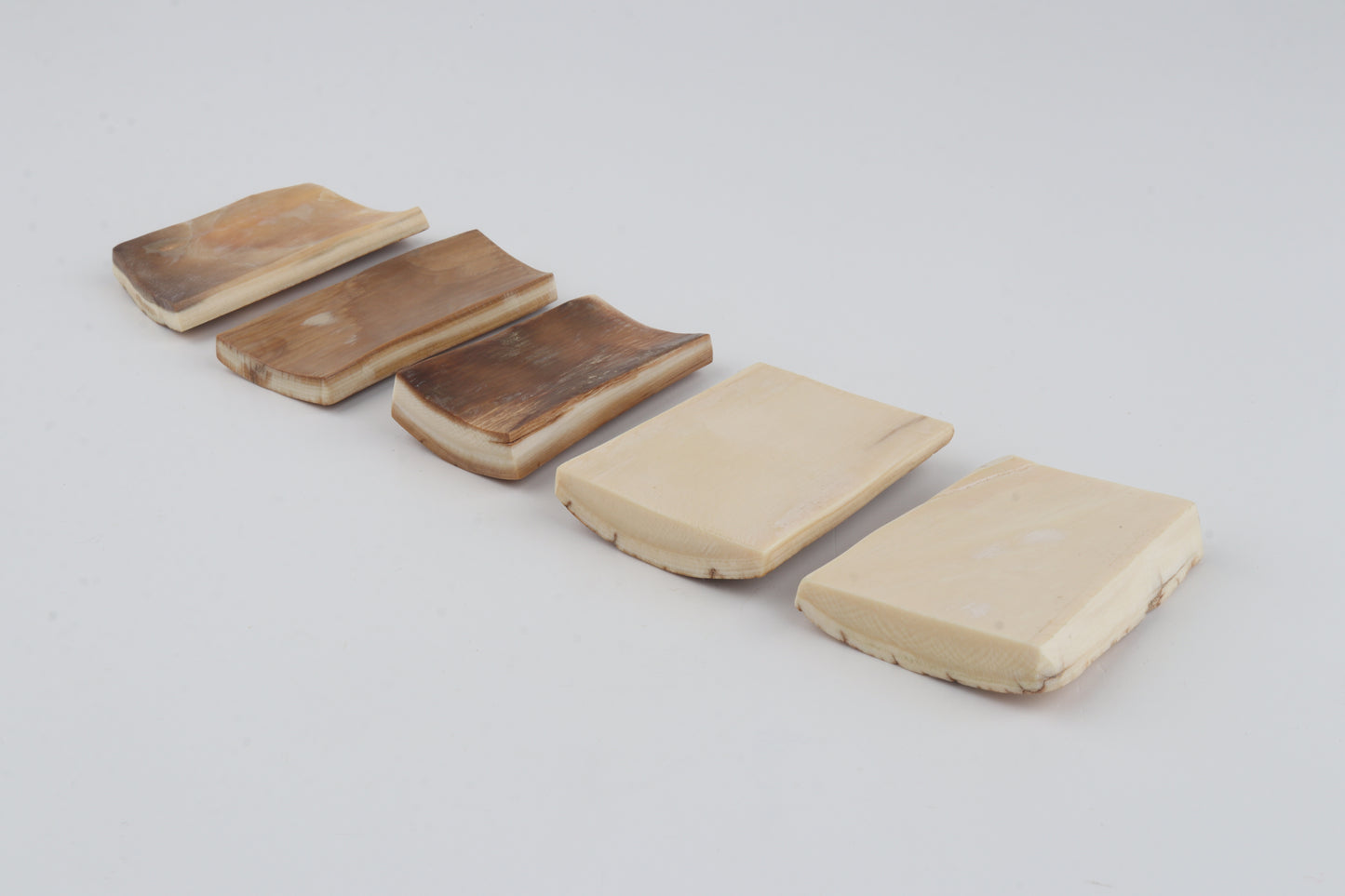 Natural woolly mammoth bark pieces