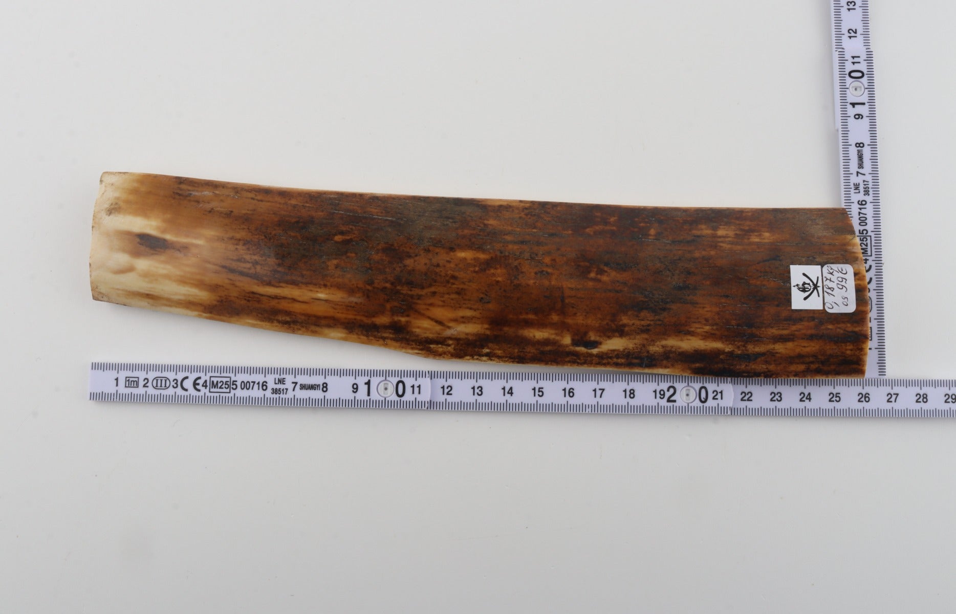 Orange-brown mammoth bark