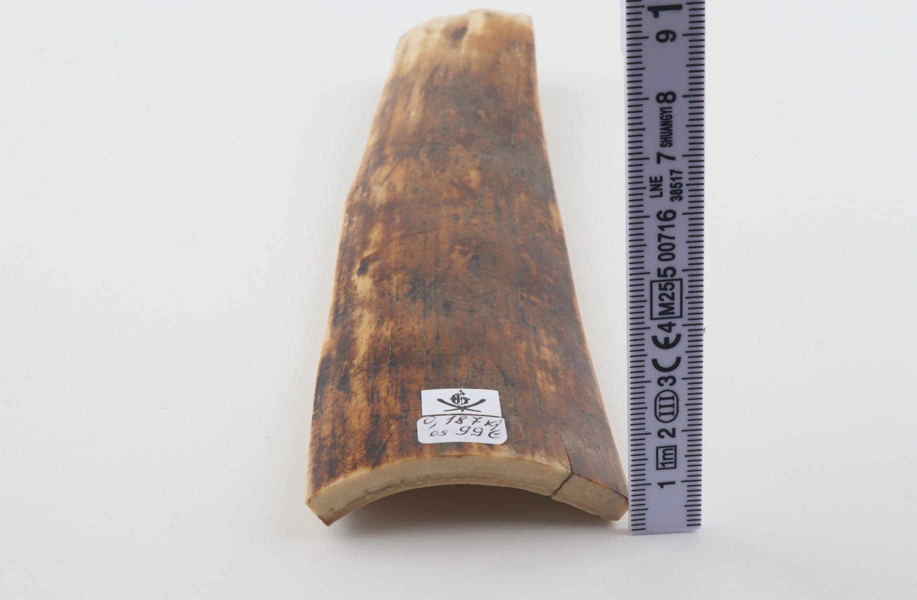 Orange-brown mammoth bark