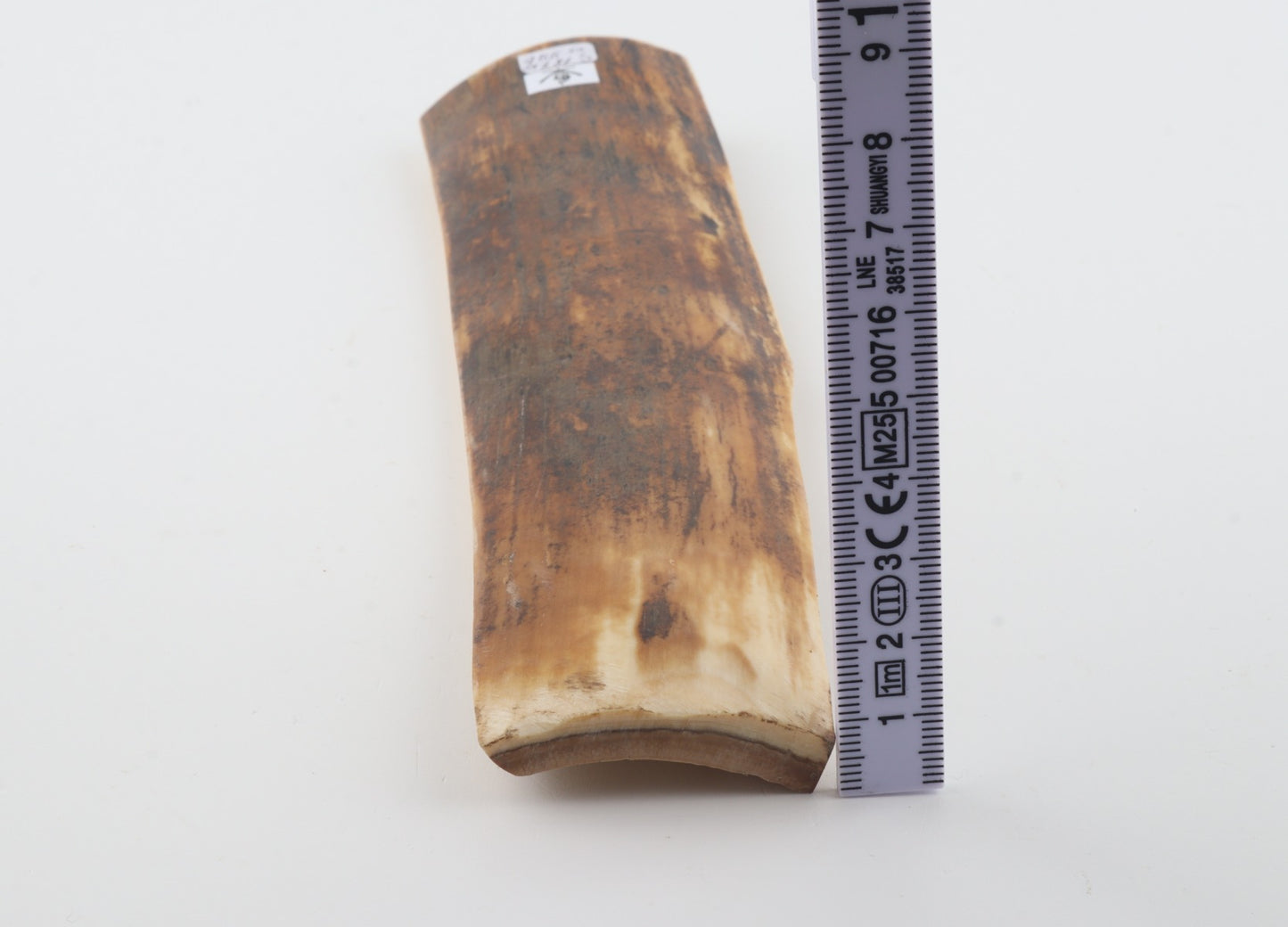 Orange-brown mammoth bark