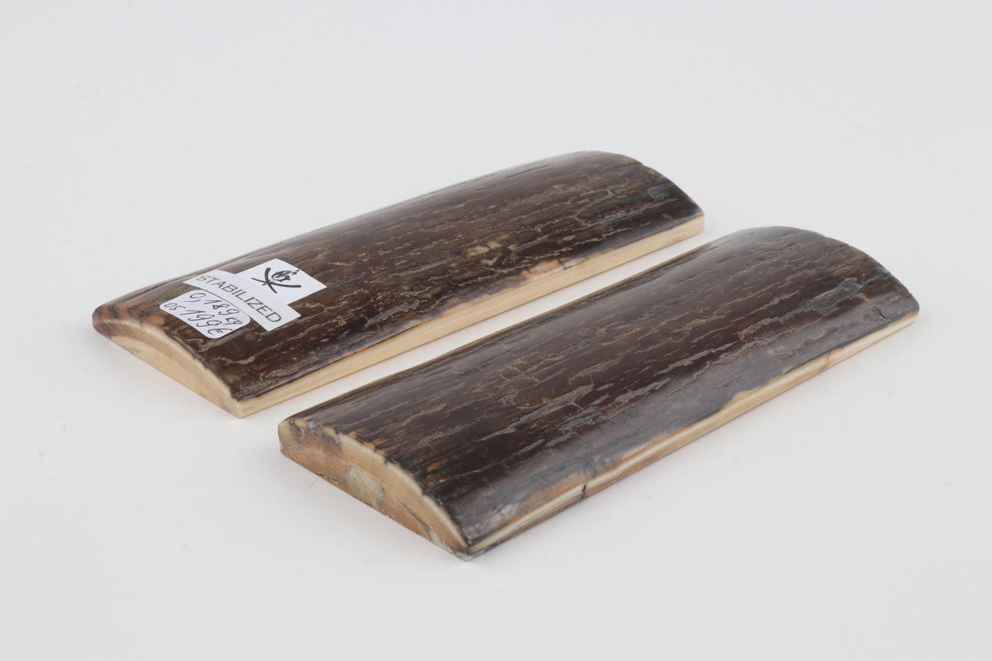 Stabilised mammoth bark scales