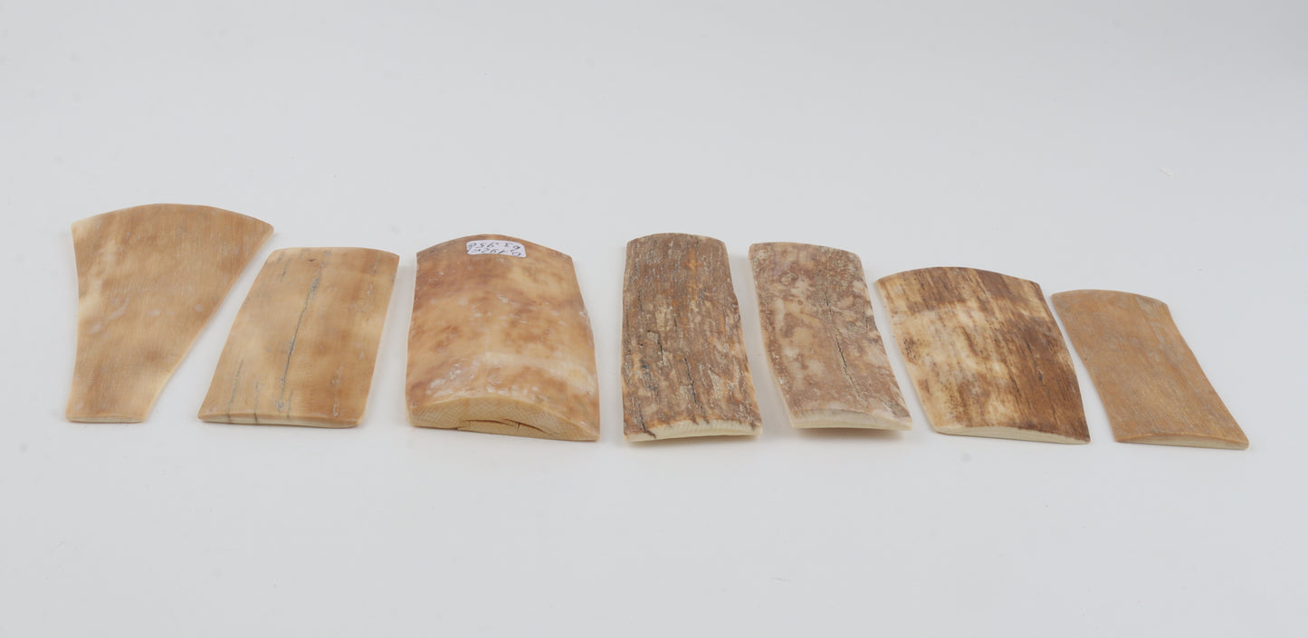 Natural mammoth bark pieces