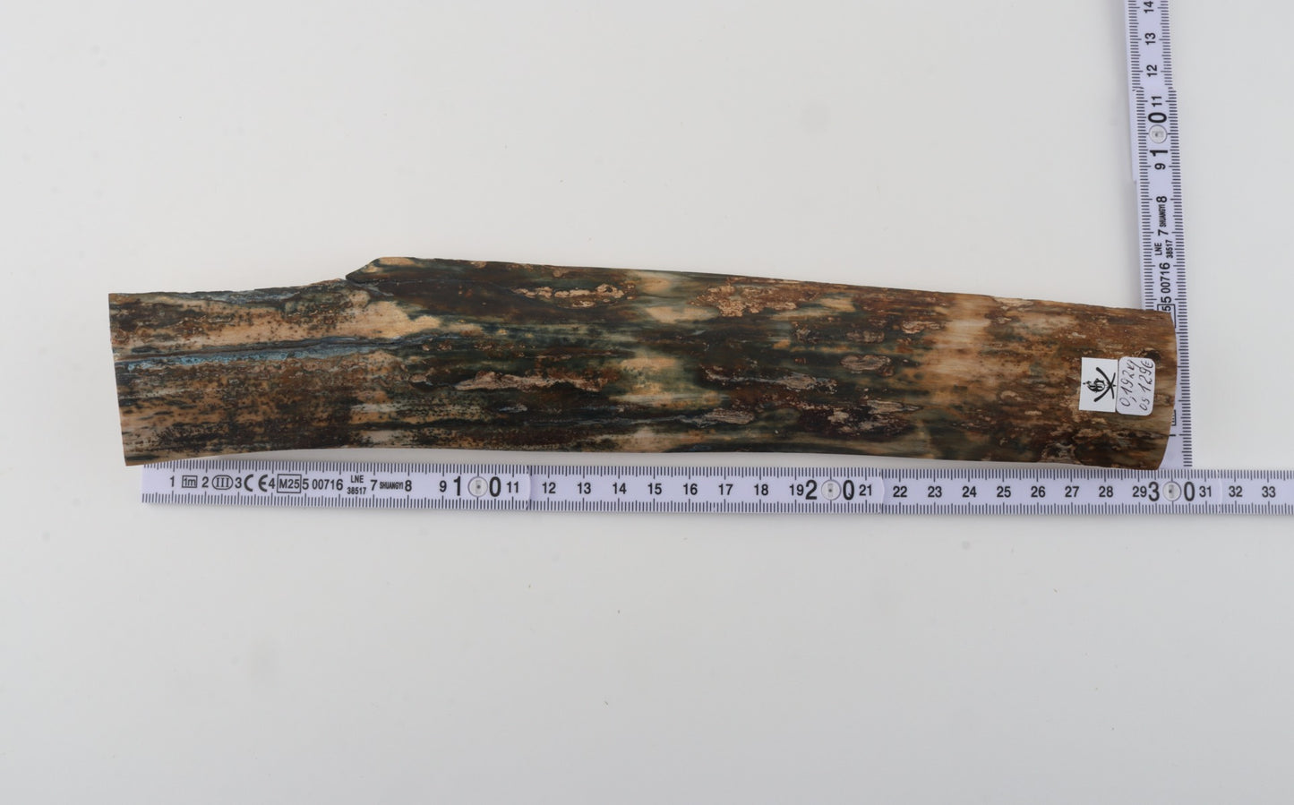 Natural woolly mammoth bark