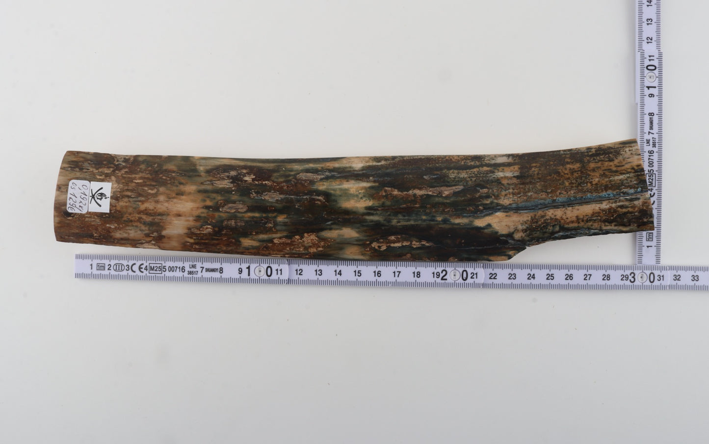 Natural woolly mammoth bark
