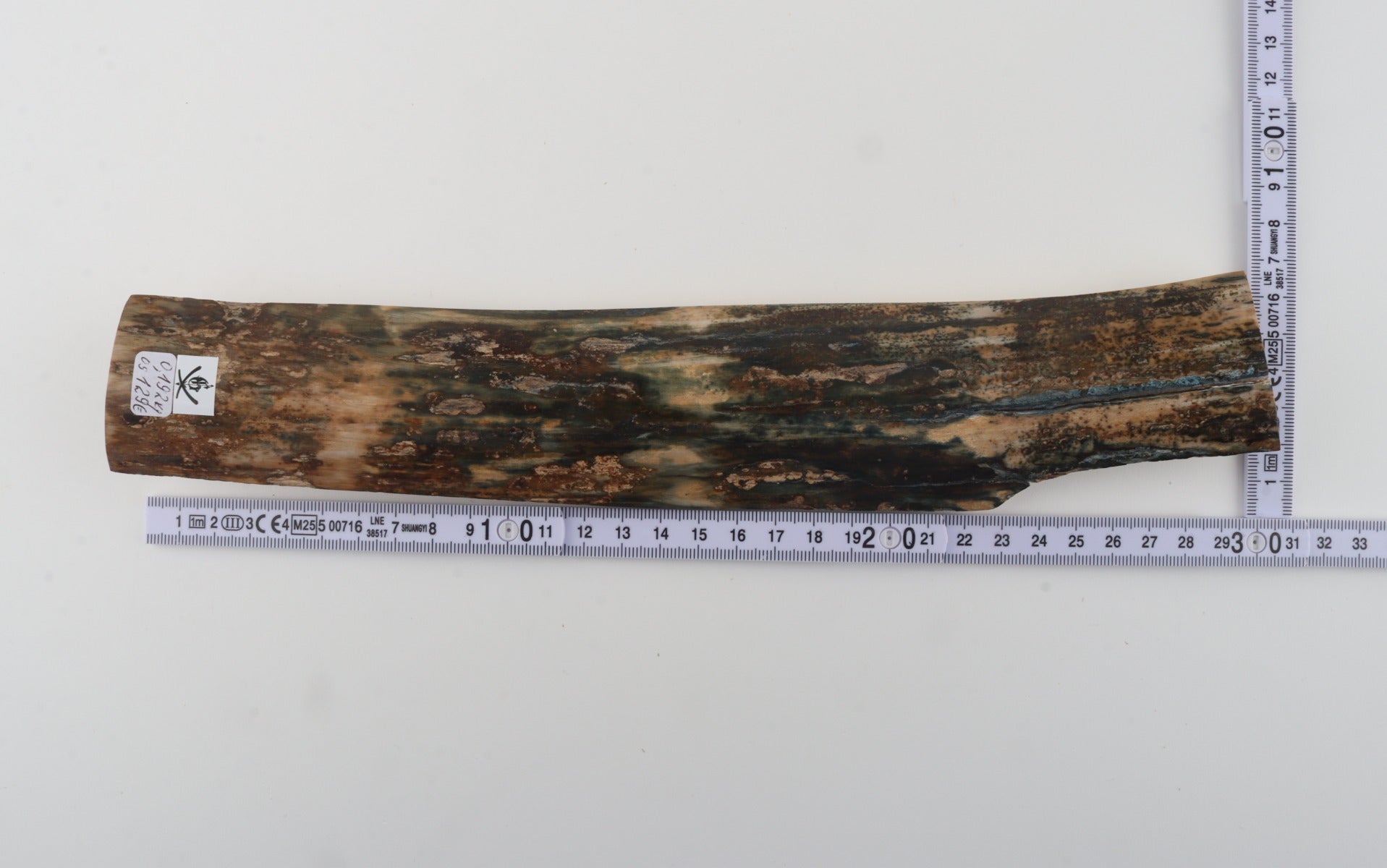 Natural woolly mammoth bark