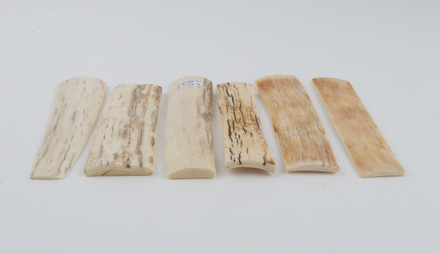 Natural mammoth bark pieces