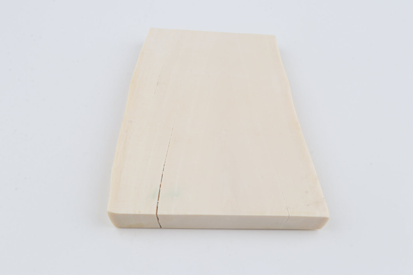 White mammoth ivory segment