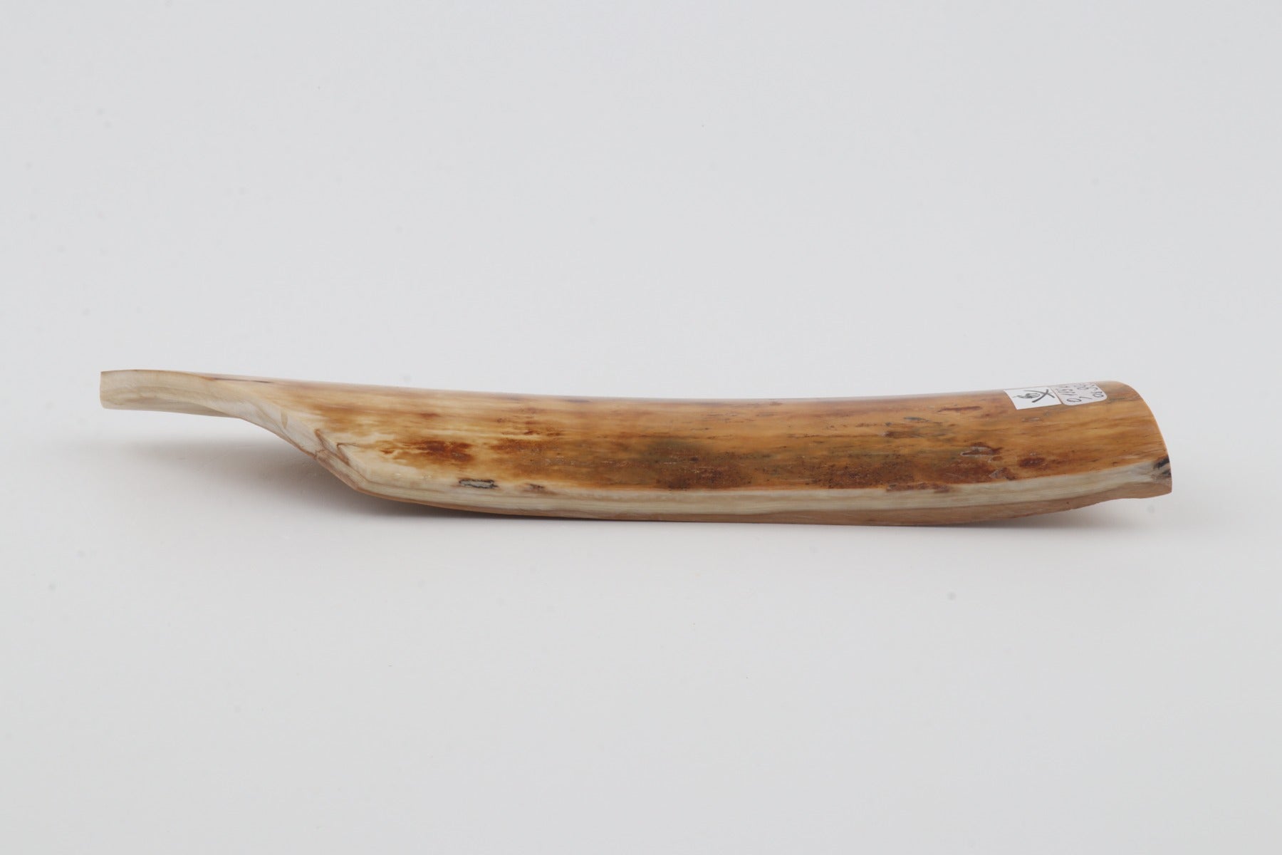Orange-beige mammoth bark