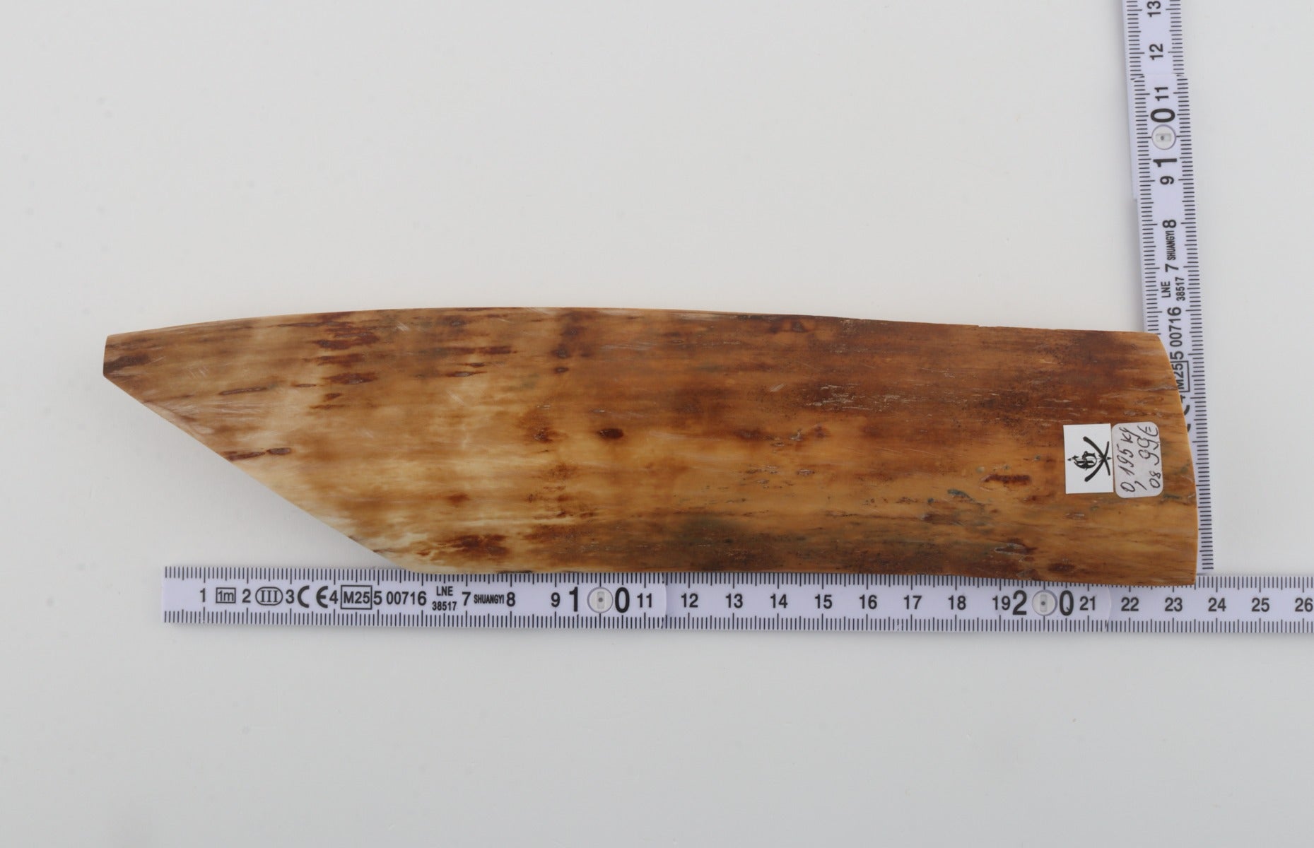 Orange-beige mammoth bark