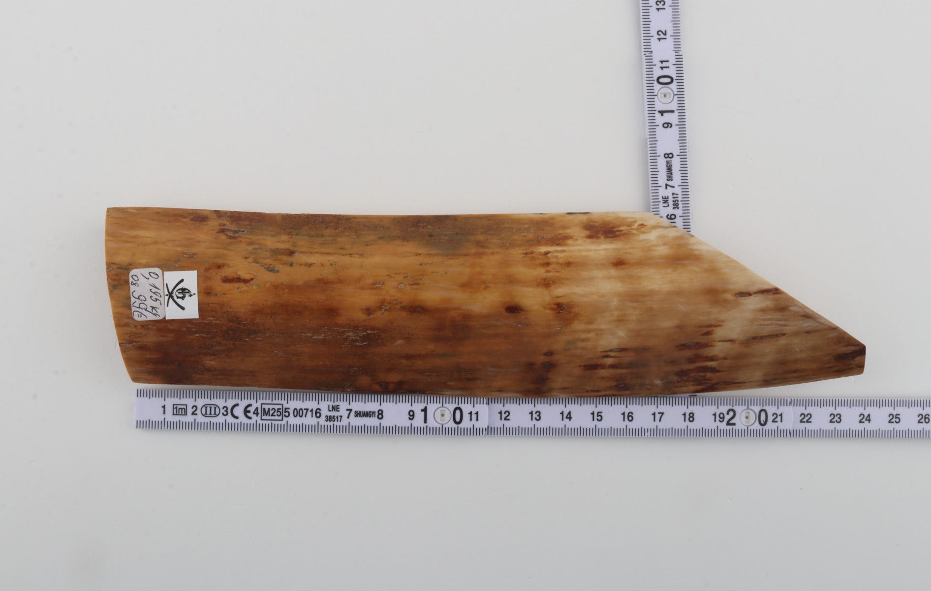 Orange-beige mammoth bark