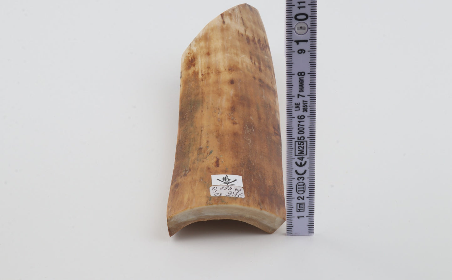 Orange-beige mammoth bark