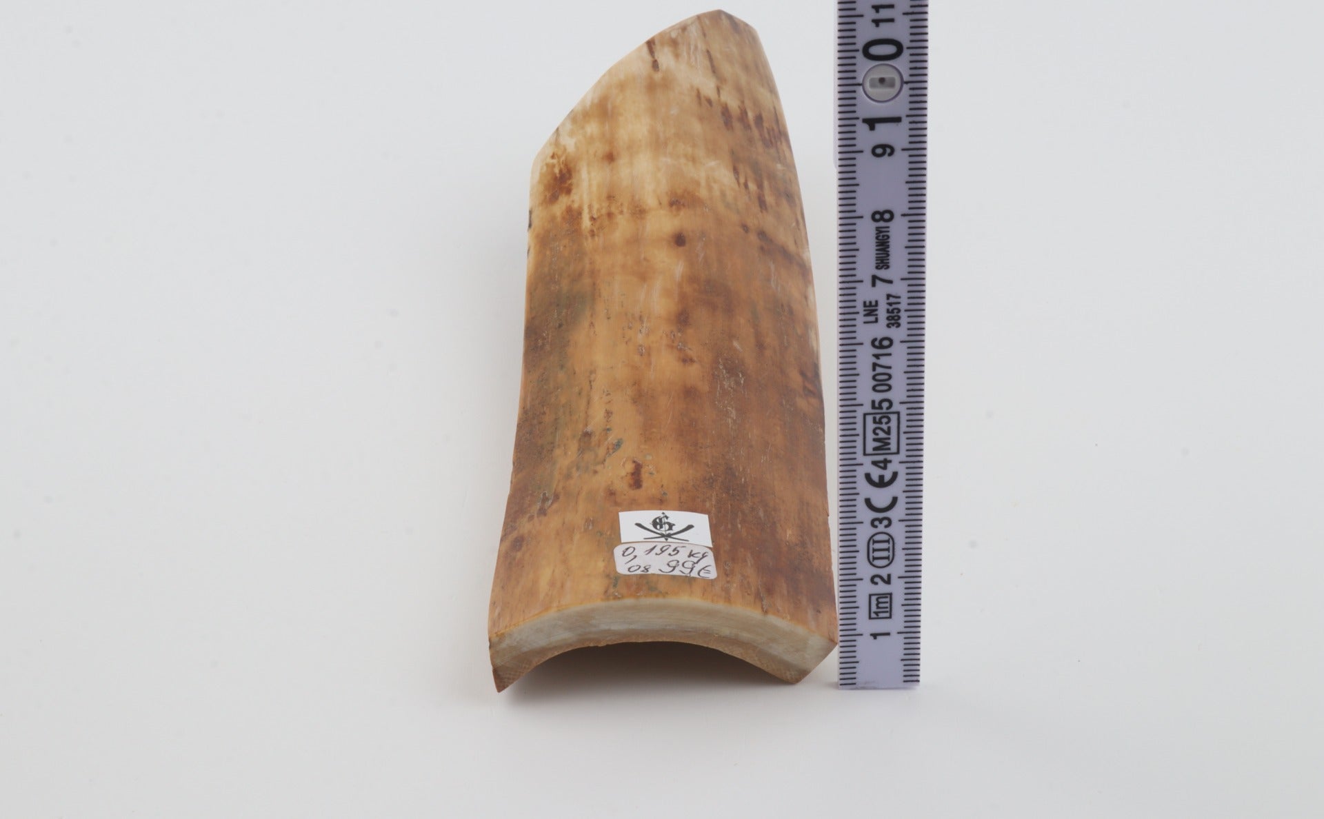 Orange-beige mammoth bark