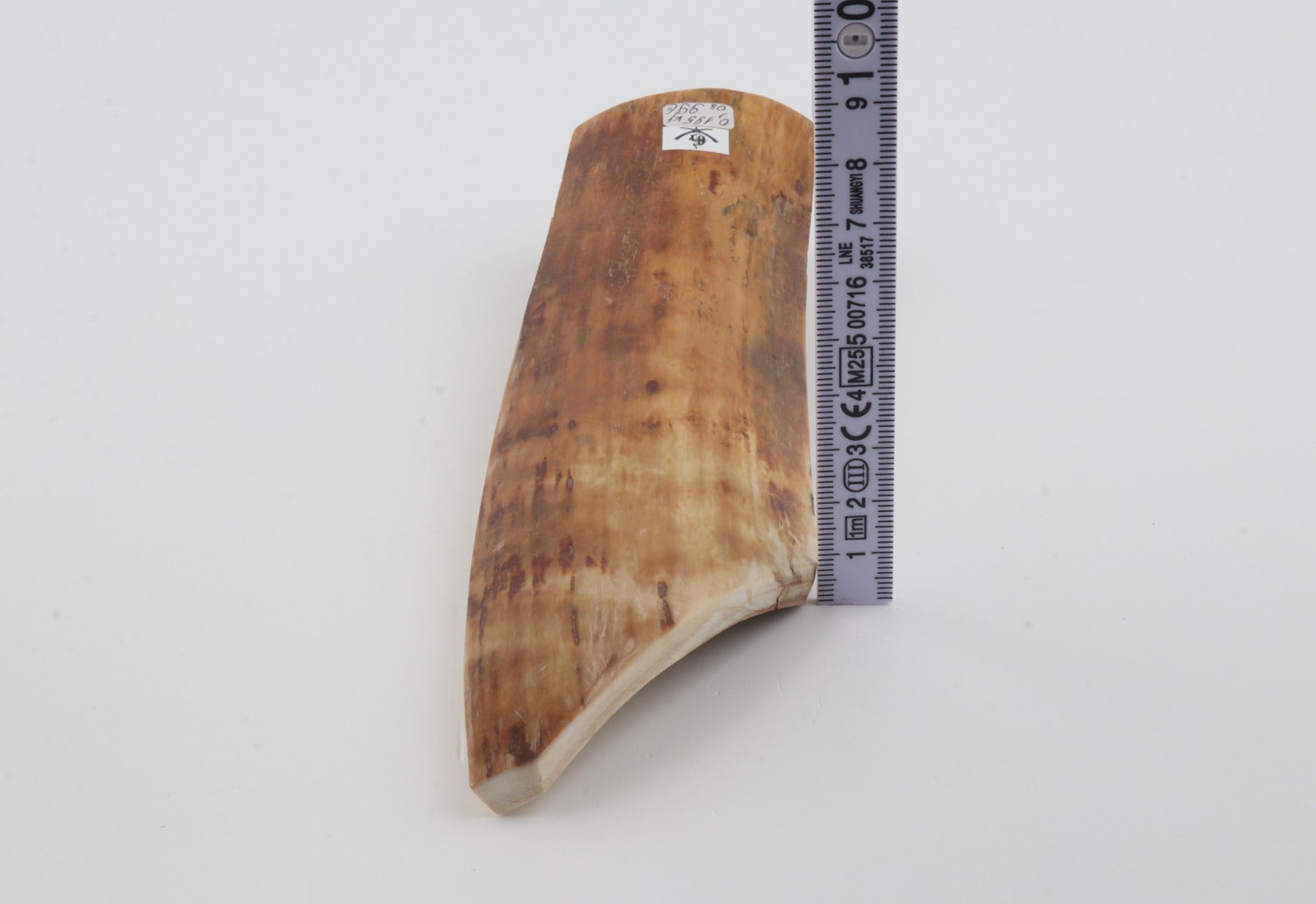Orange-beige mammoth bark