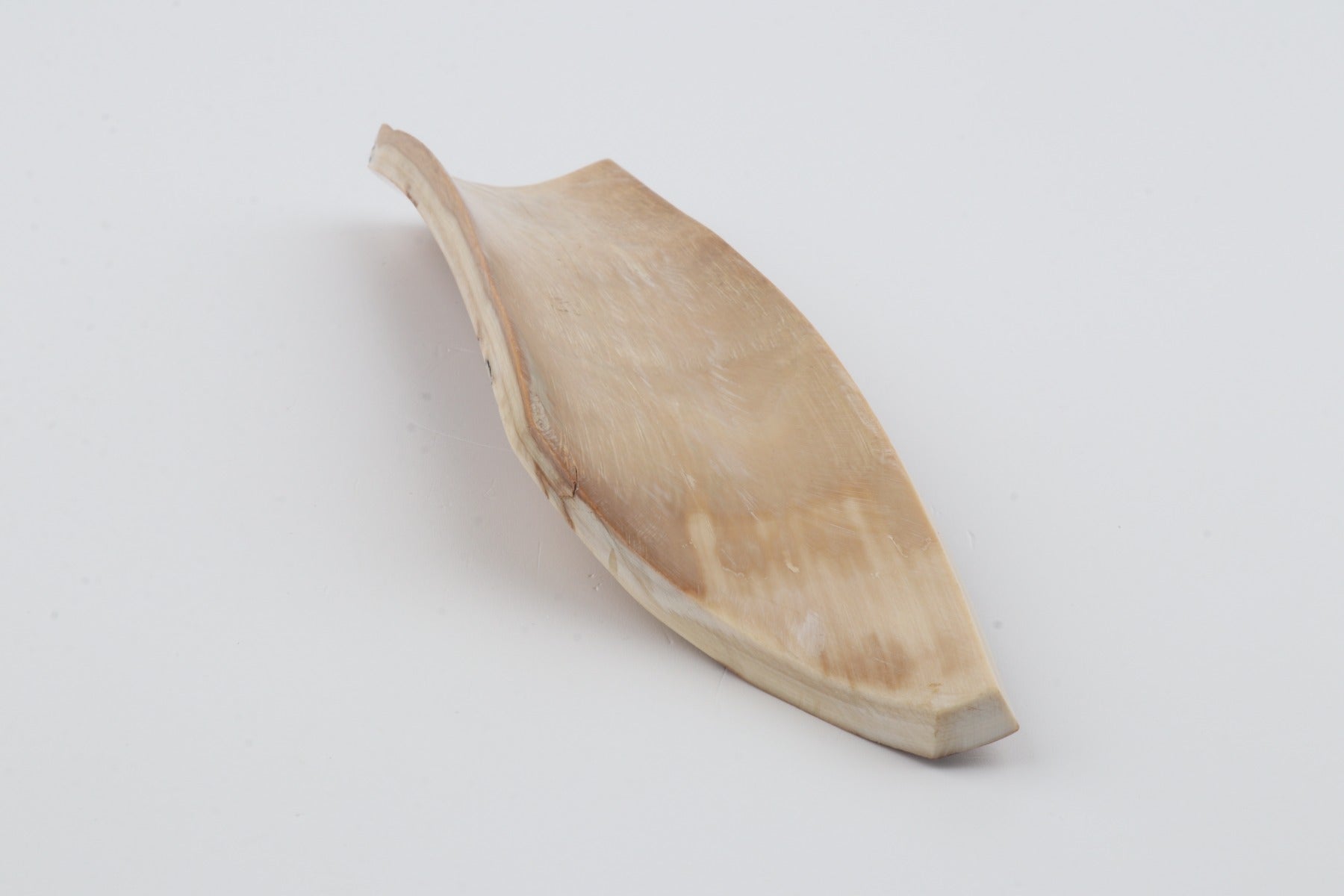 Orange-beige mammoth bark