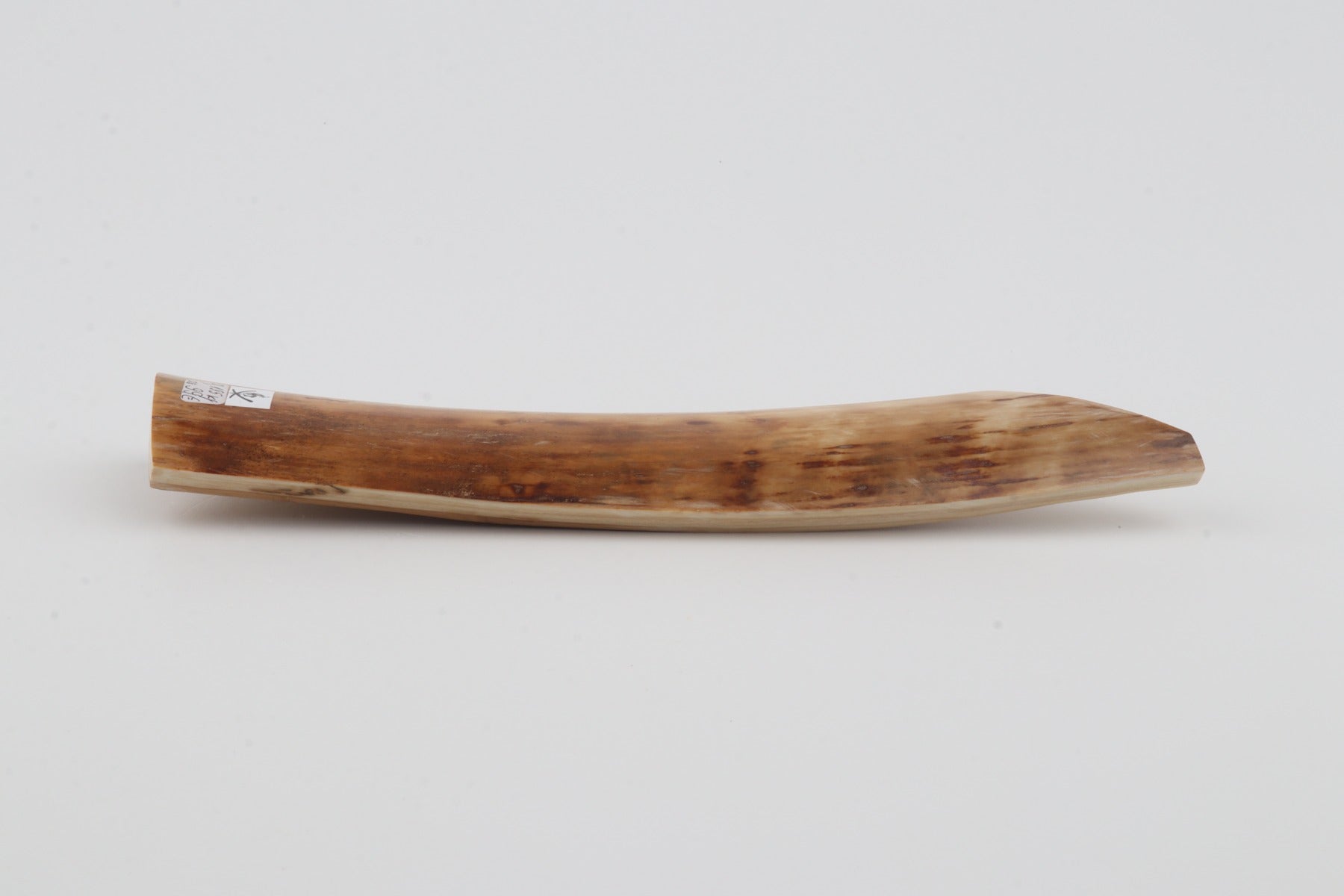 Orange-beige mammoth bark
