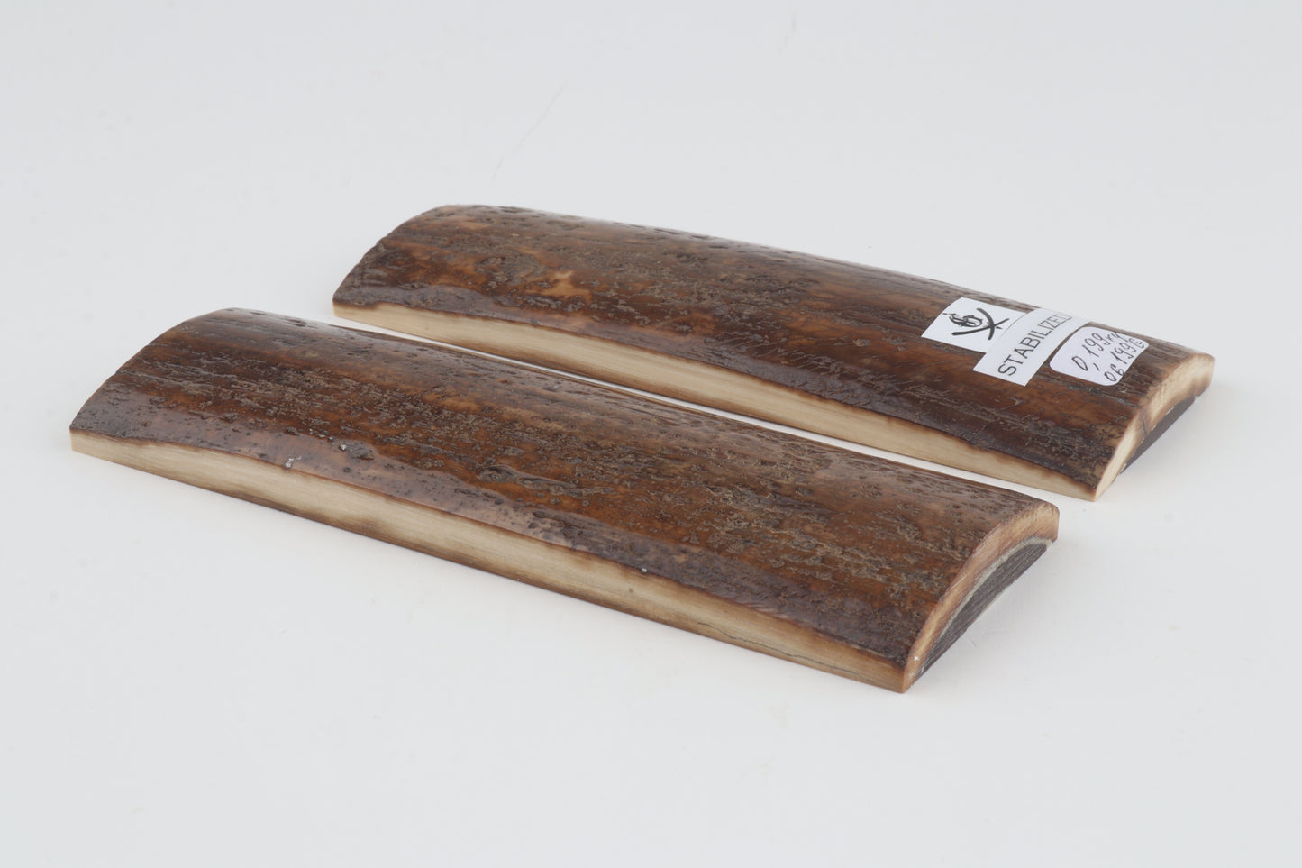 Stabilized mammoth bark scales