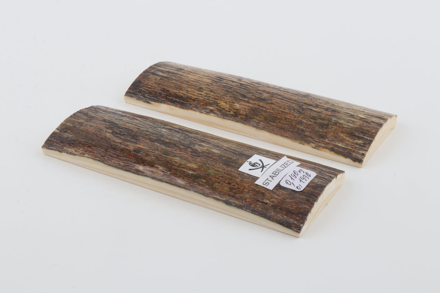 Stabilised mammoth bark scales