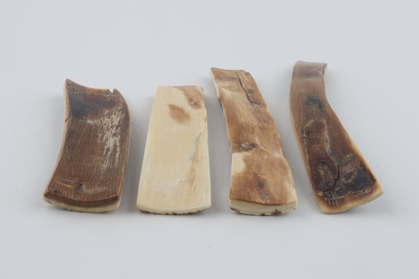 Natural mammoth bark pieces