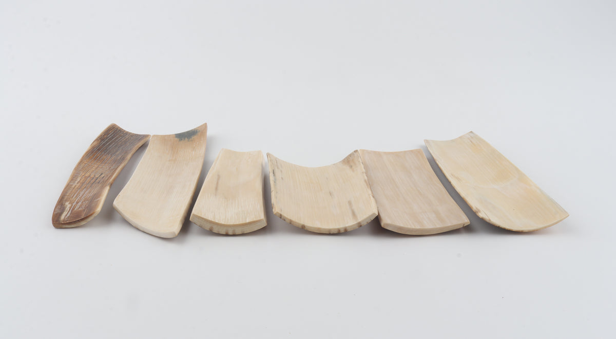 Natural mammoth bark pieces