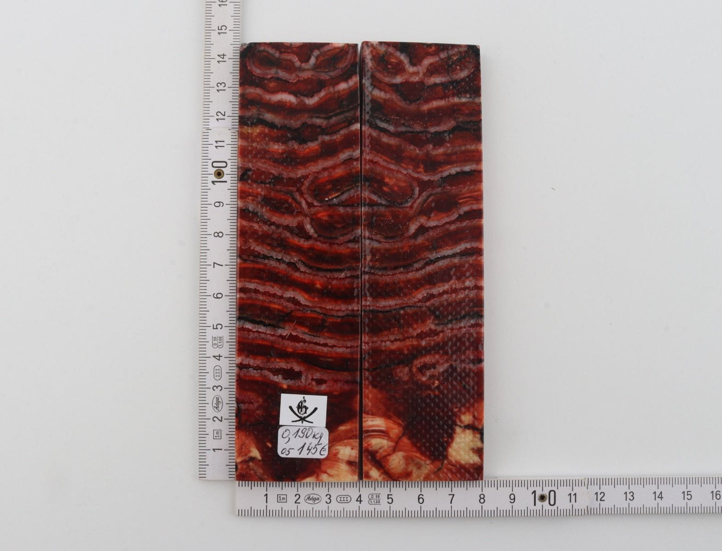 Stabilised mammoth molar scales