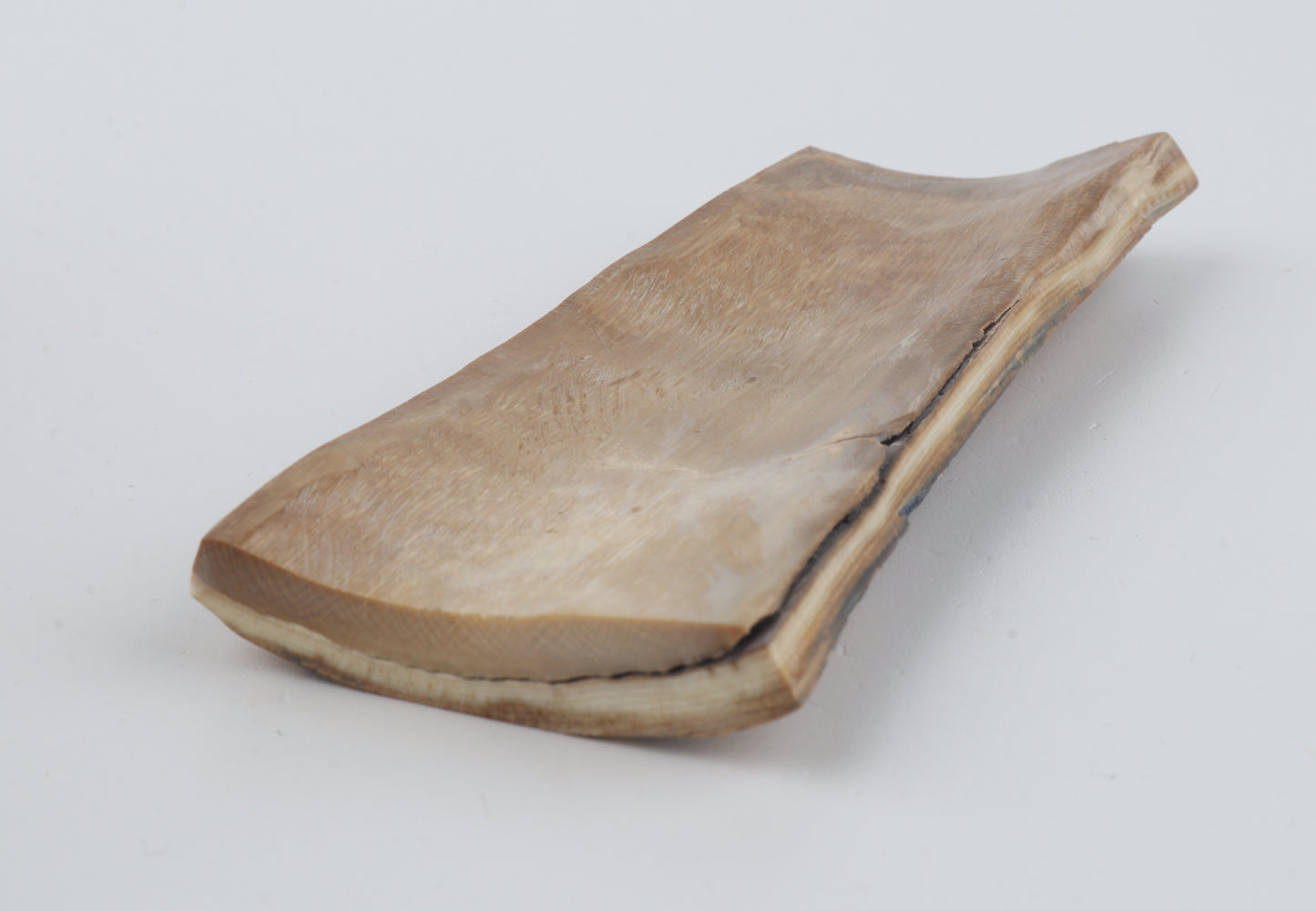 Beige-blue mammoth bark