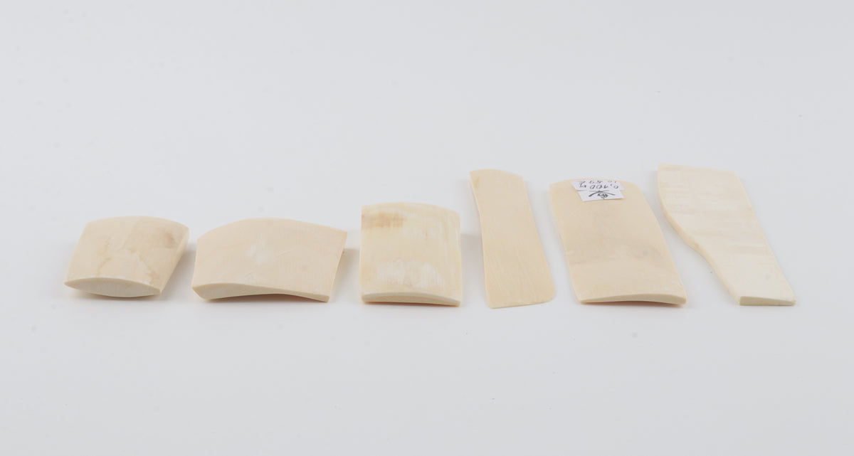 White mammoth ivory pieces