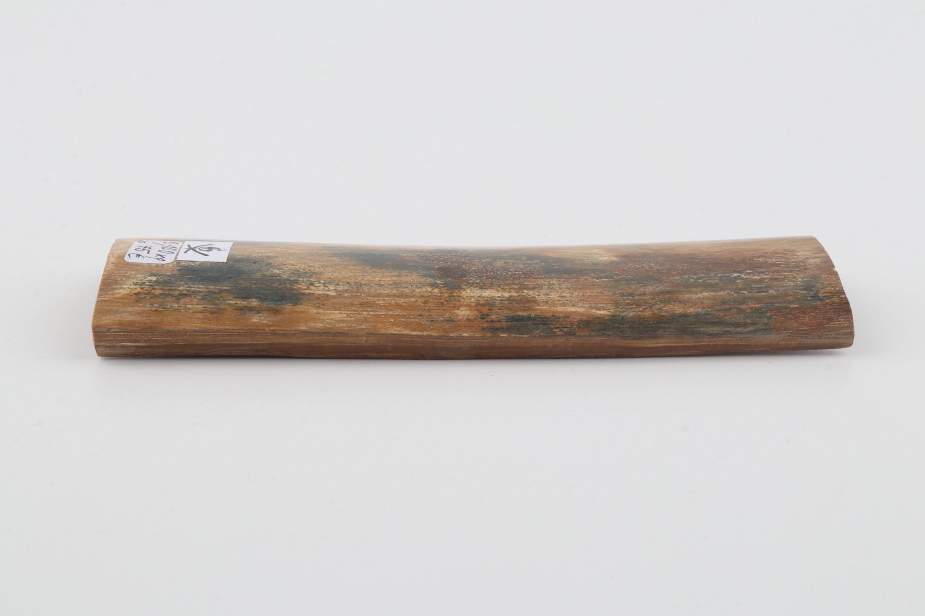 Natural woolly mammoth bark
