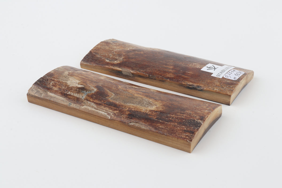 Stabilized mammoth bark scales