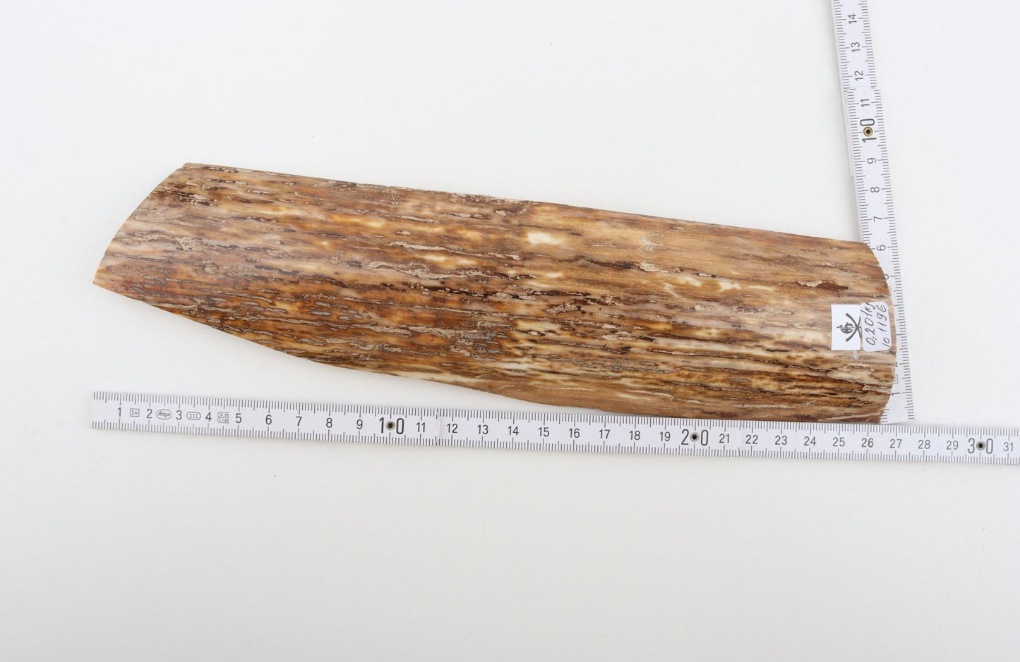 Beige mammoth bark