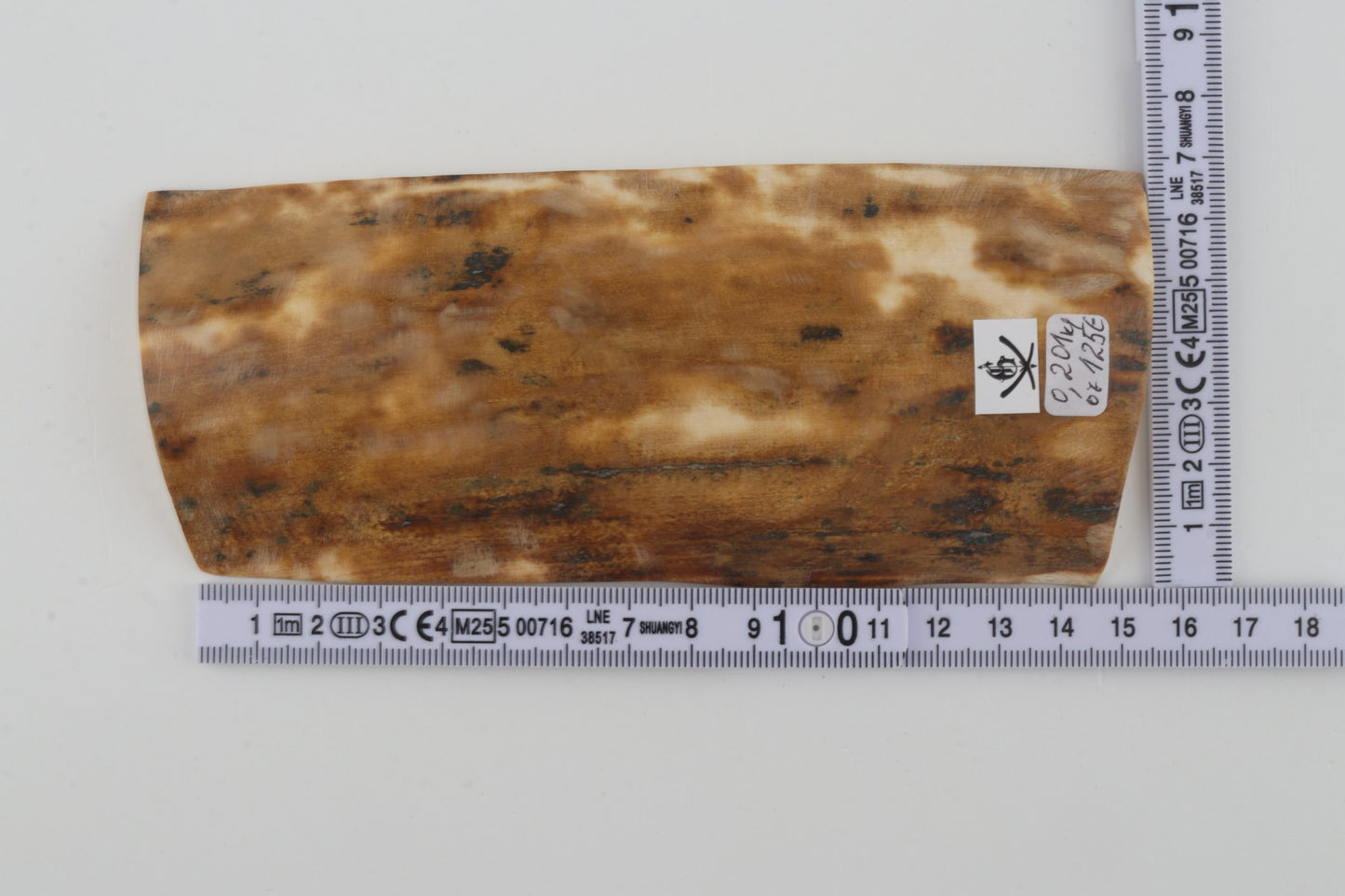 Beige mammoth bark
