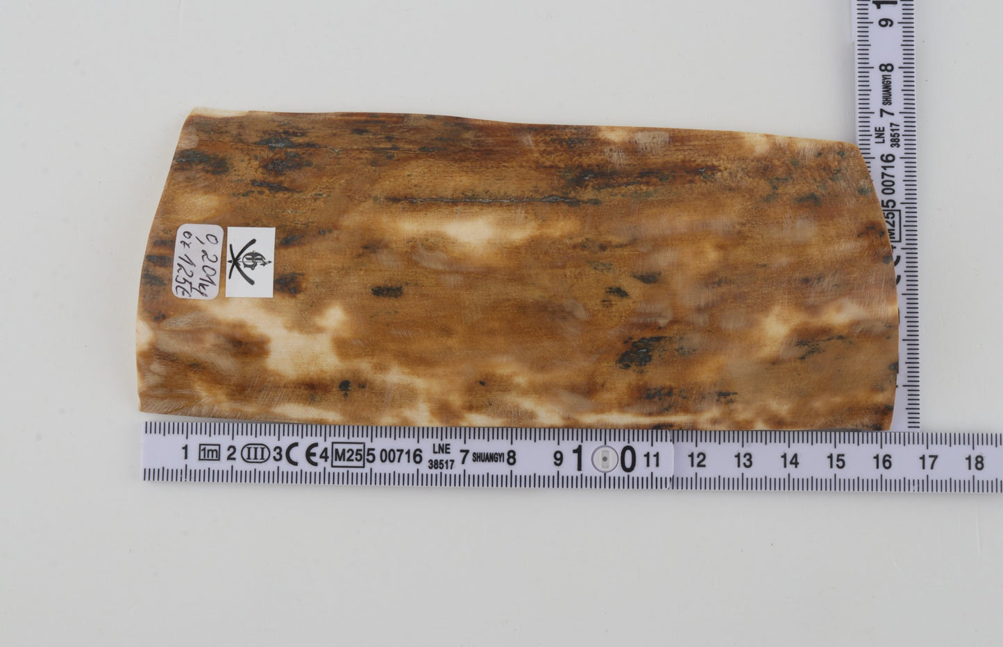 Beige mammoth bark