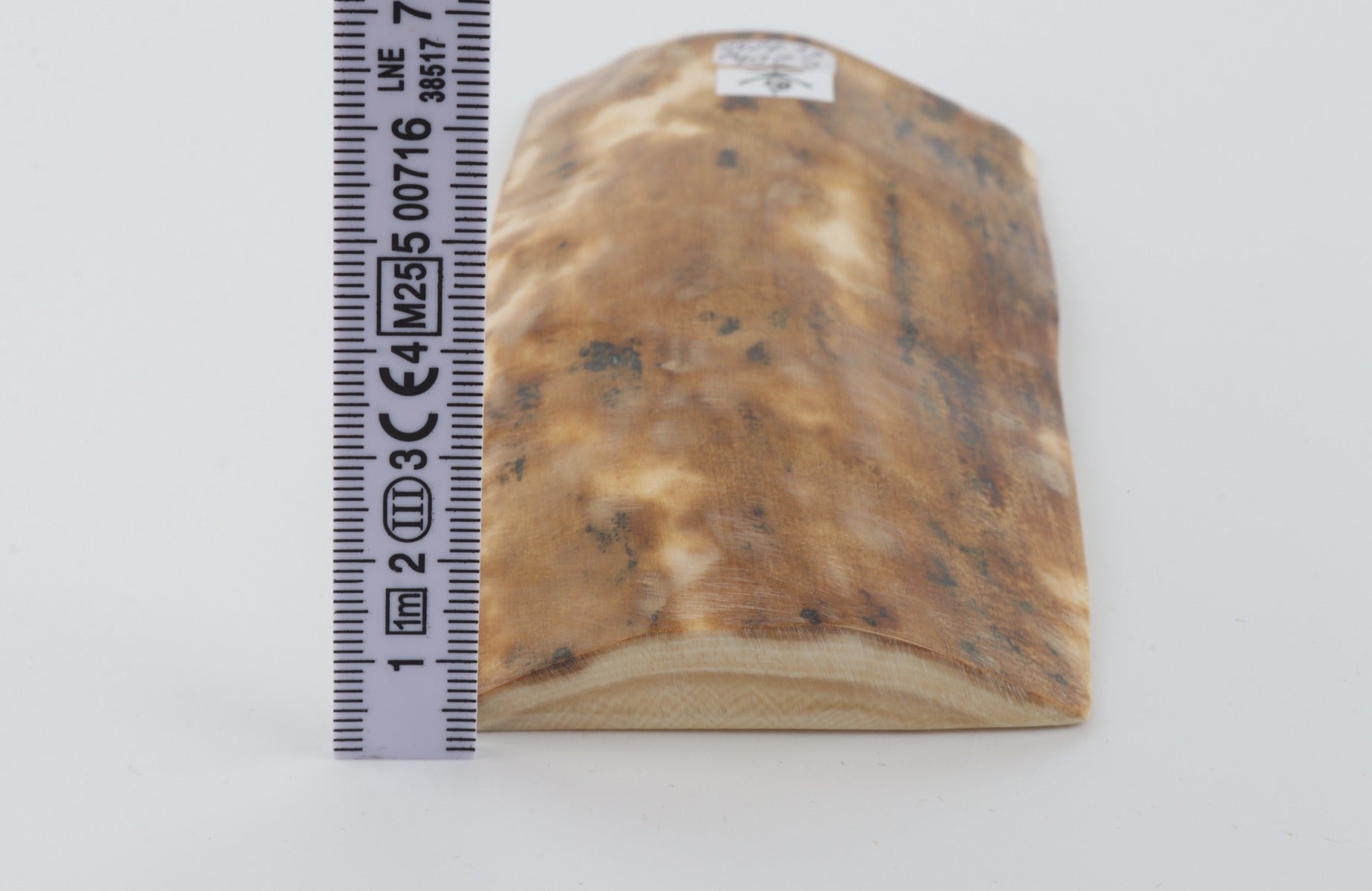 Beige mammoth bark