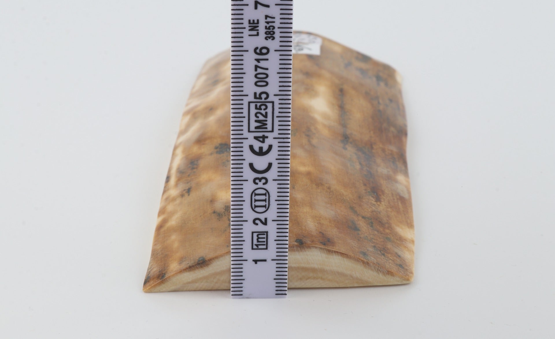 Beige mammoth bark