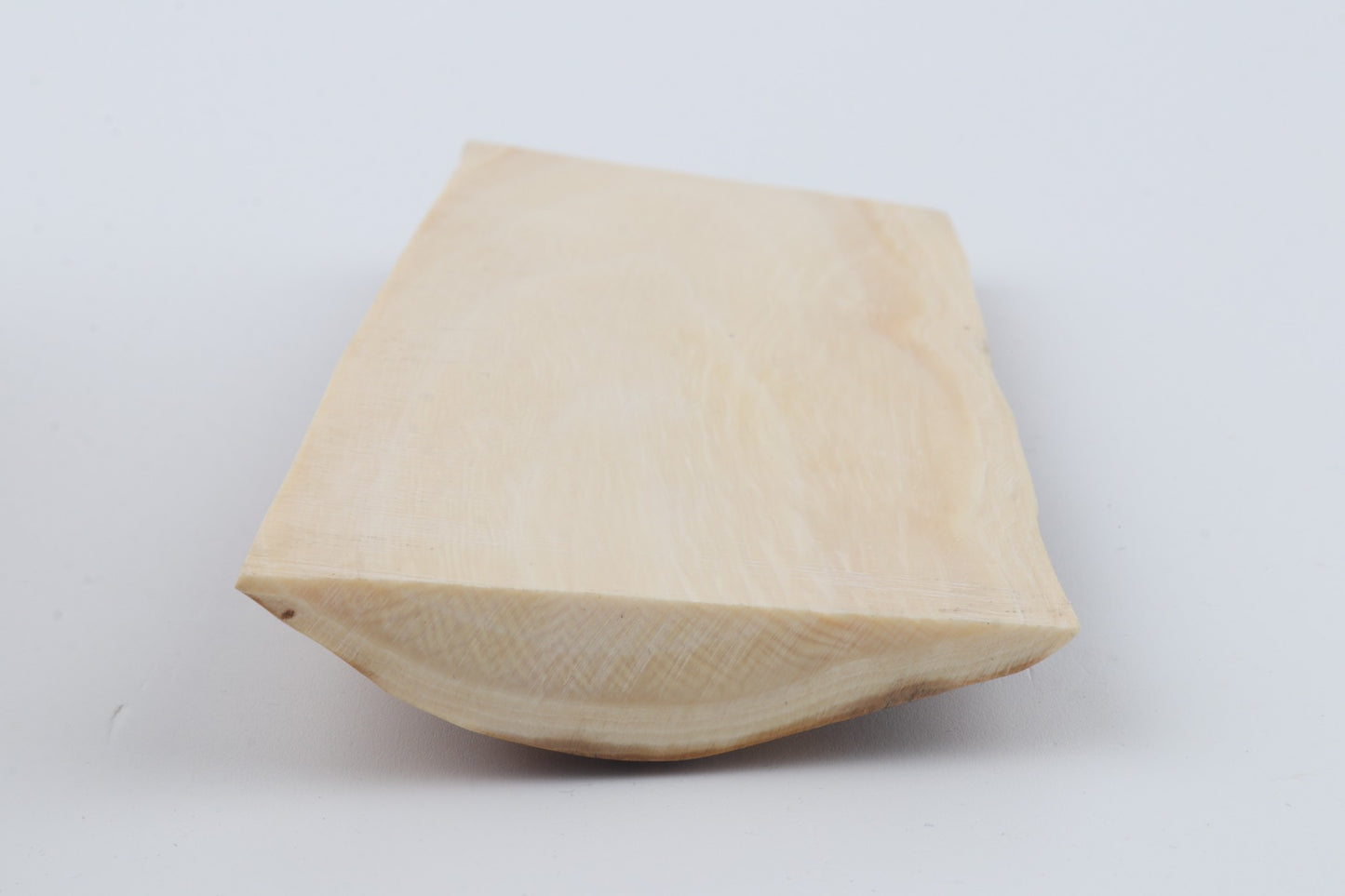 Beige mammoth bark