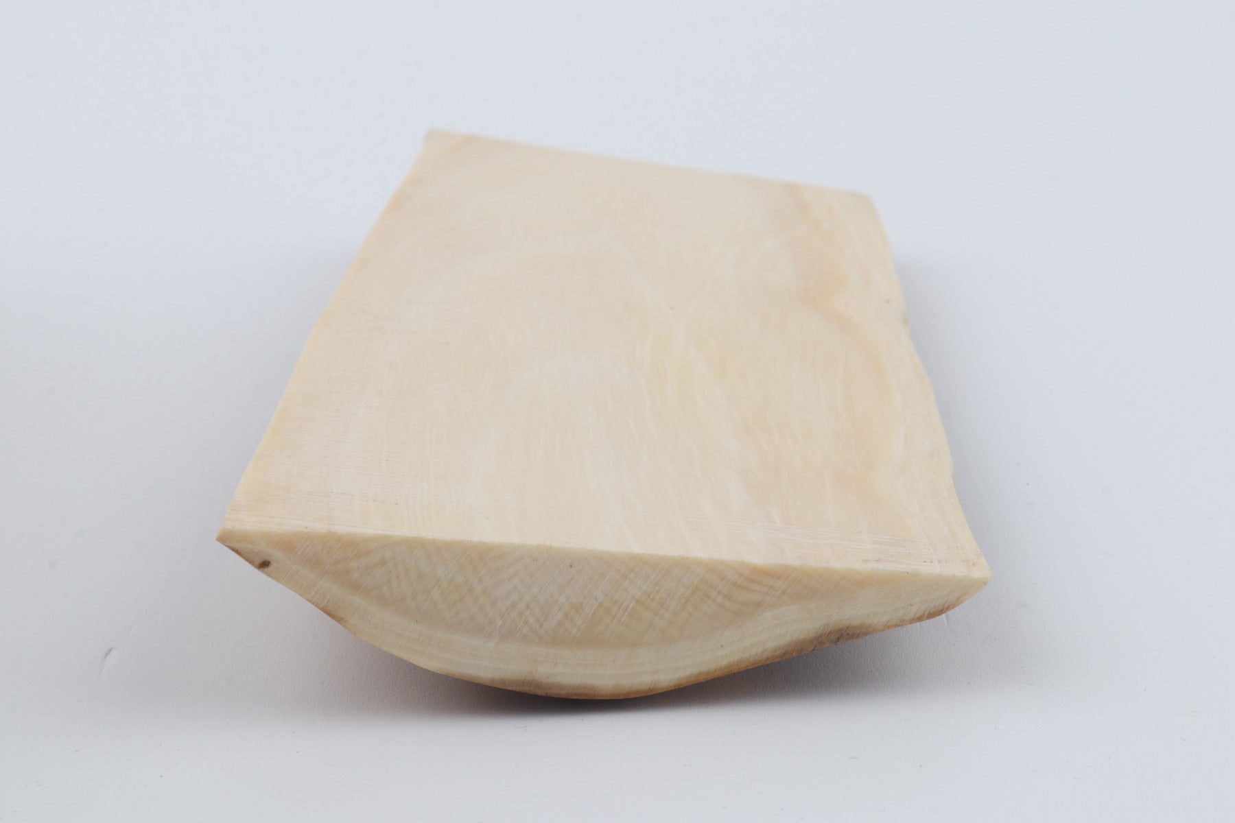 Beige mammoth bark